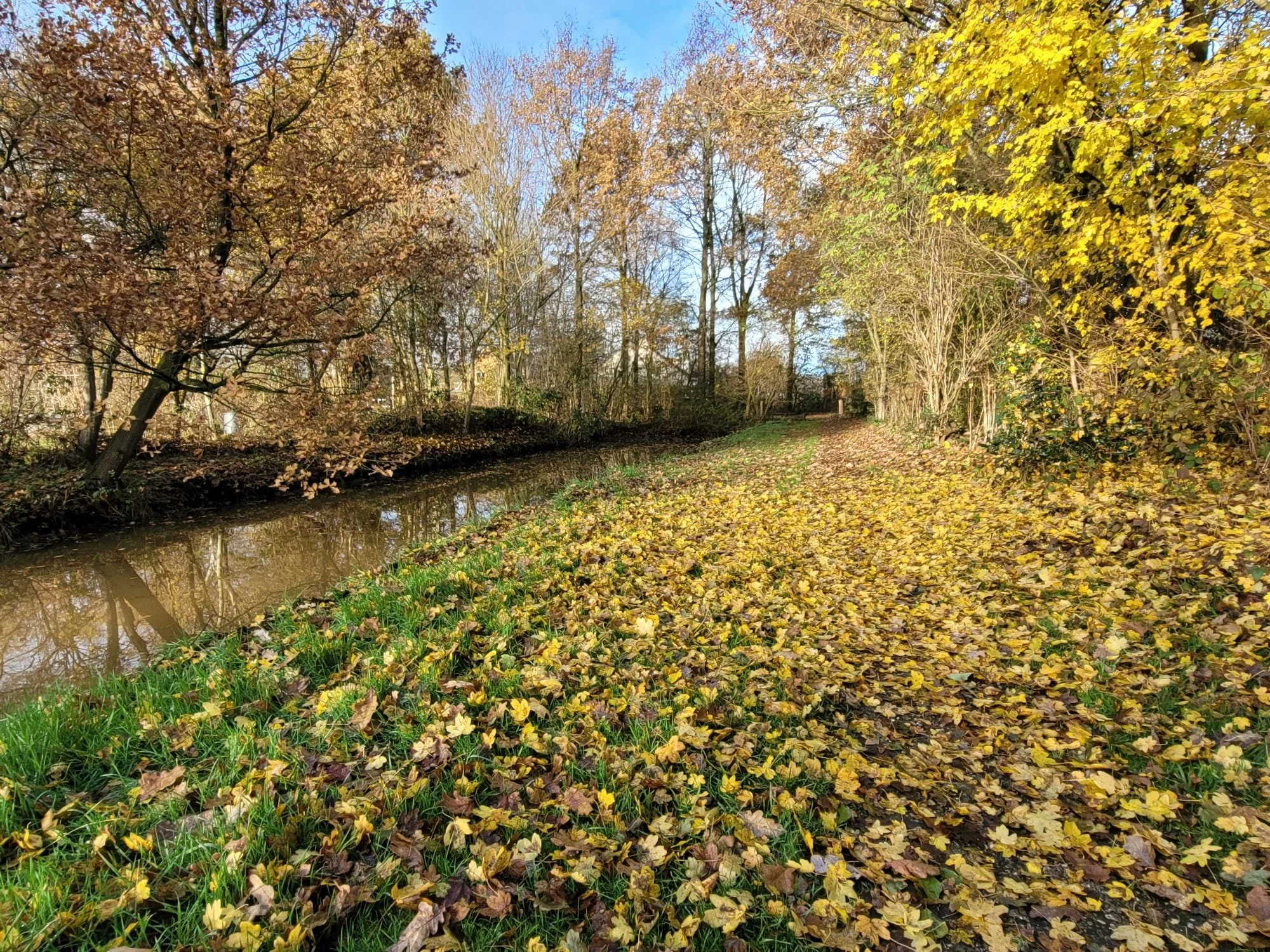 Nieuwsbrief december 2022