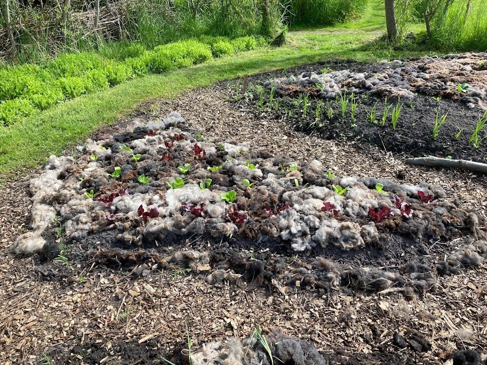 Nieuwsbrief mei / juni 2023