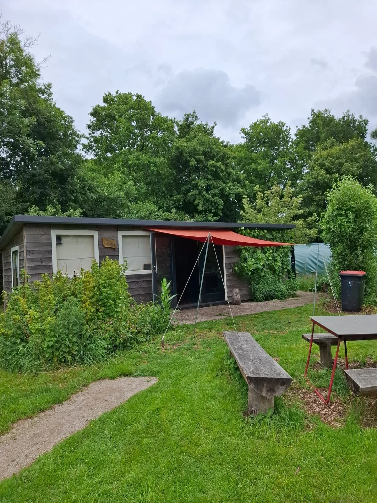 Filmzaal Onder het Maaiveld.jpeg