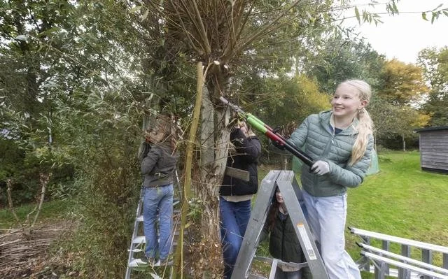 Natuurwerkdag 2025 1.jpg