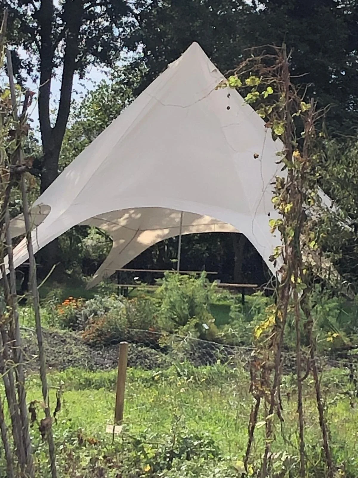 Stertent oogstdag 2025.jpg