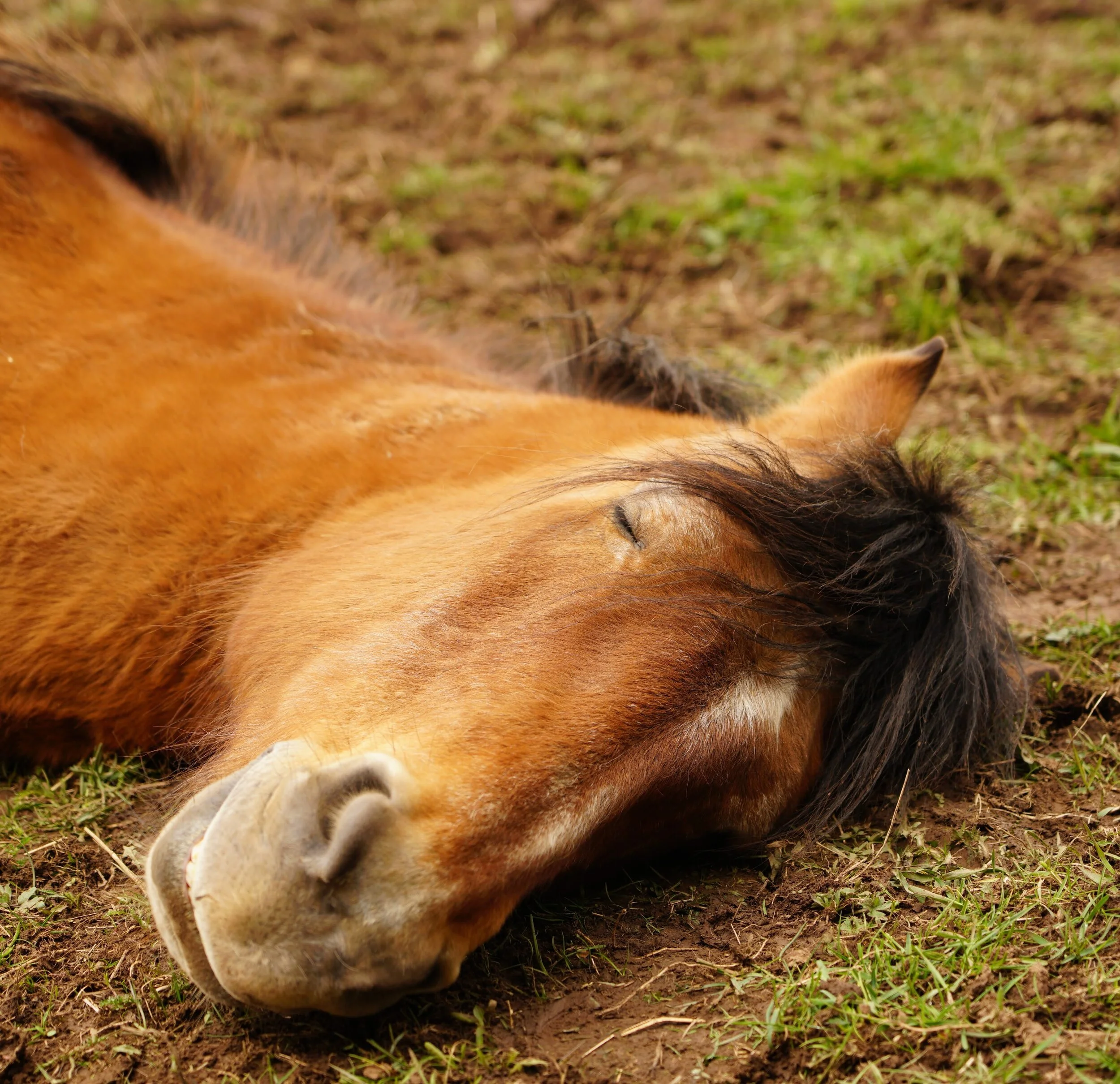 Heilung &amp; Vergebung