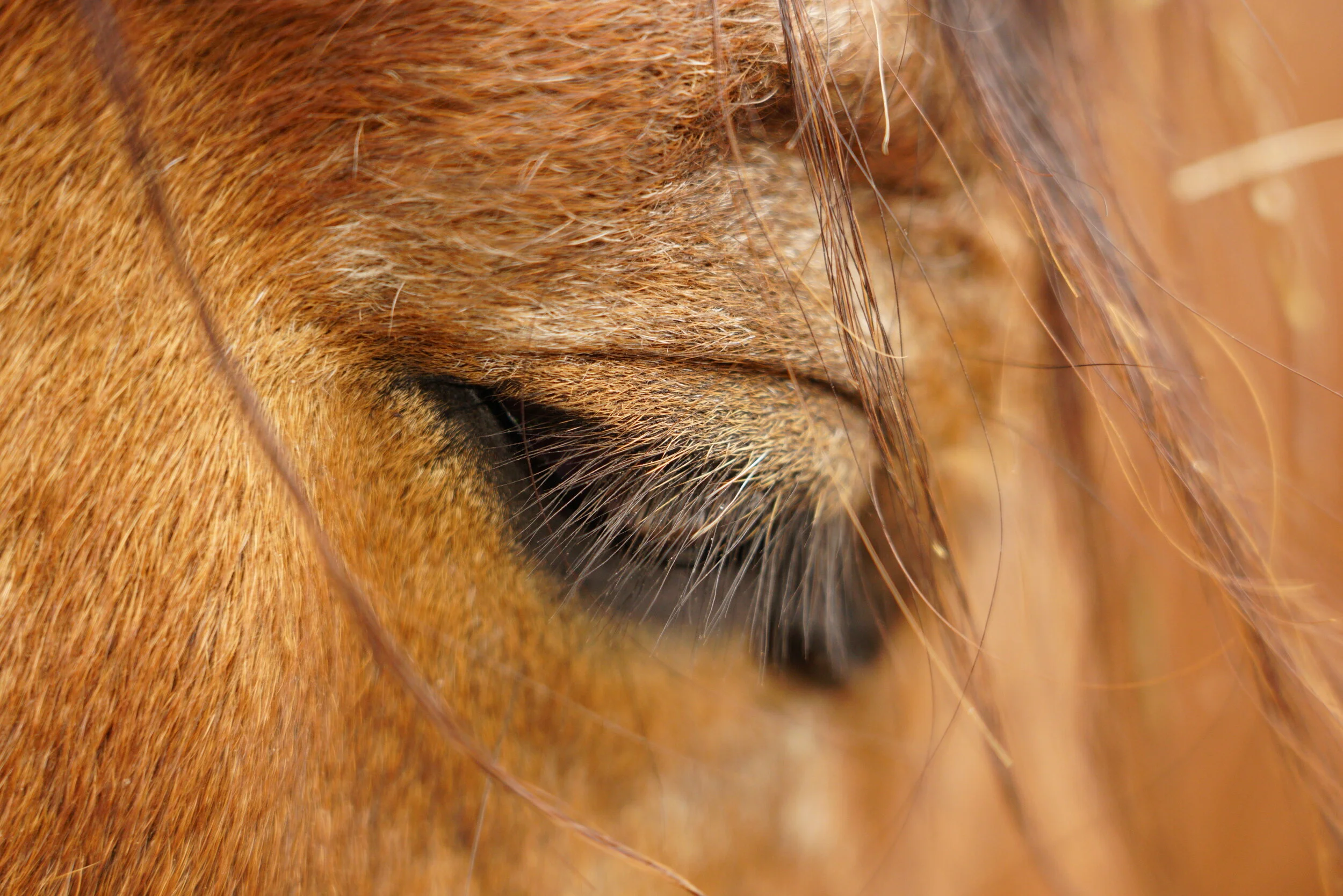 Geist ist machtvoller als Körper