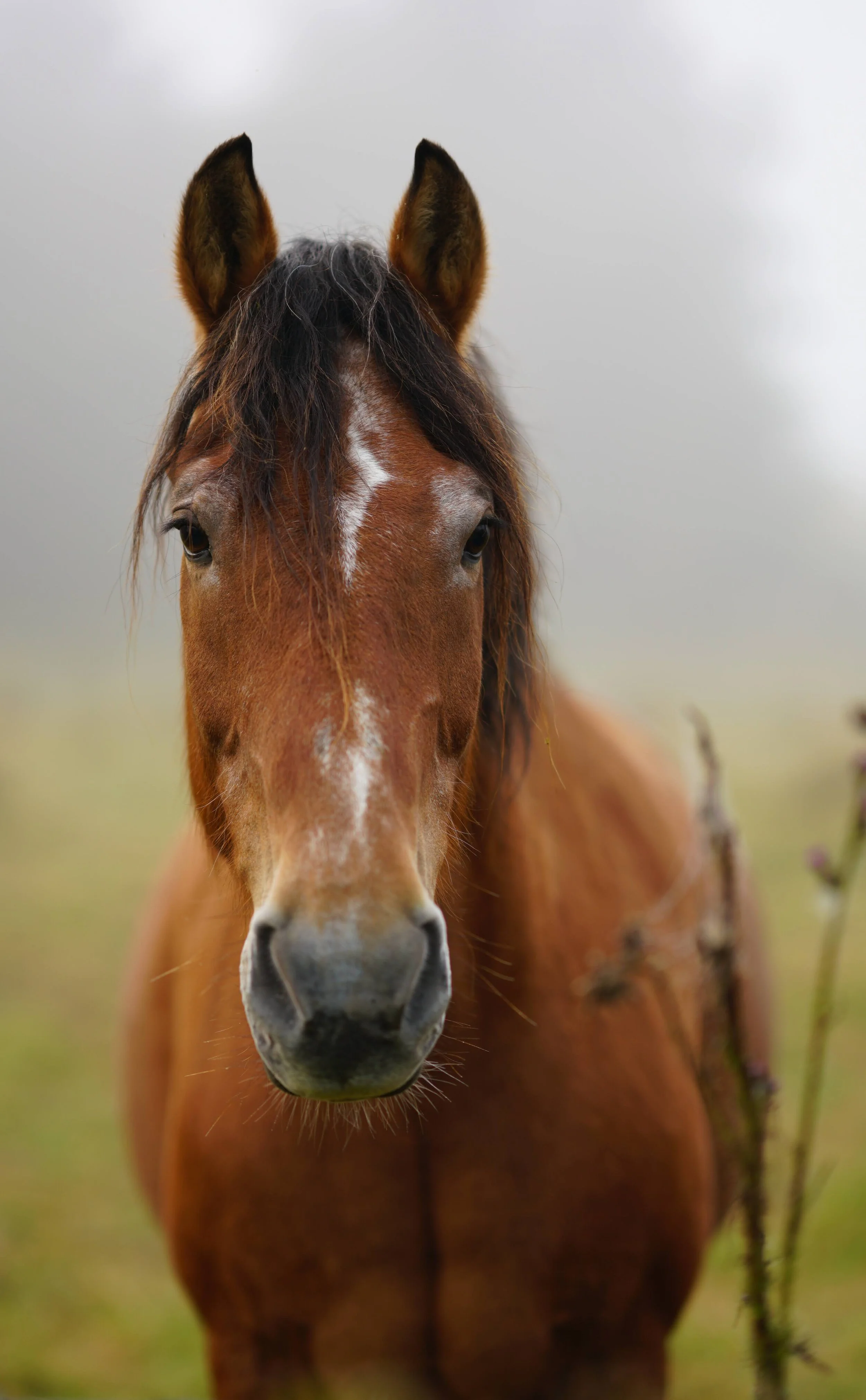 Die Macht der Gegenwart