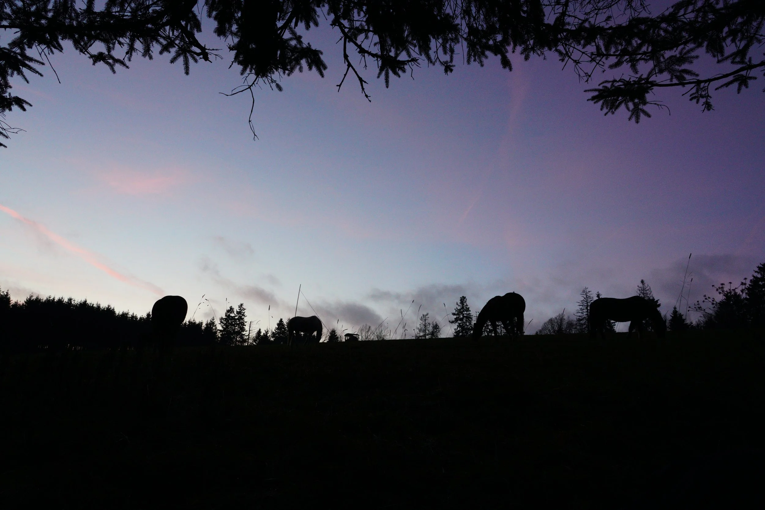 Nichts ist so wie es scheint