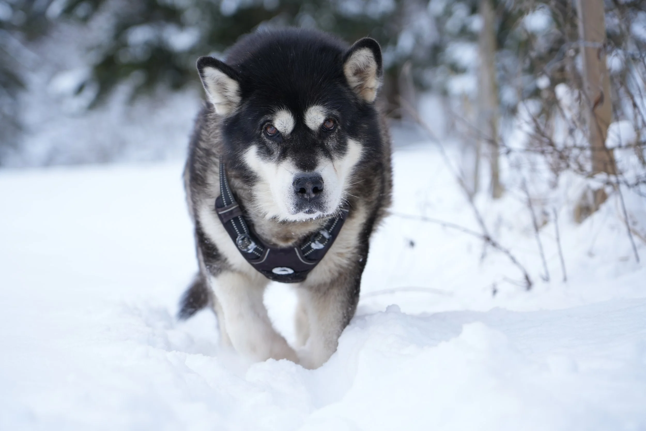 Und wenn es nichts los zu lassen gibt?