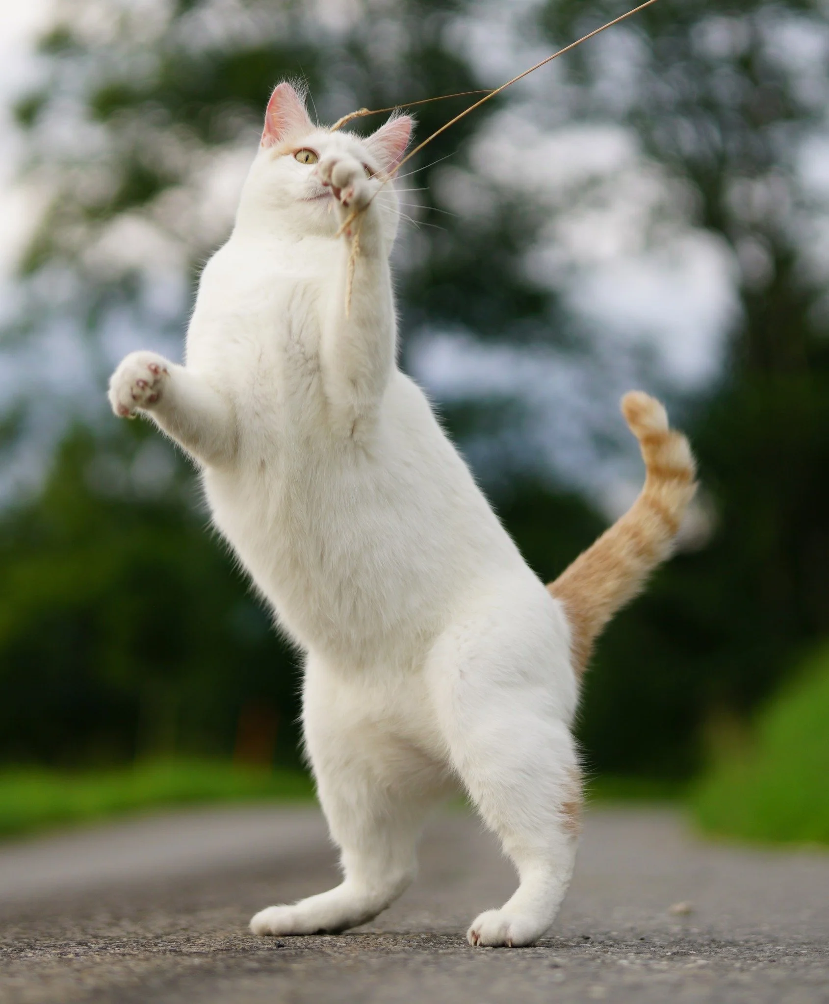 Tagesimpuls 25. April 2023