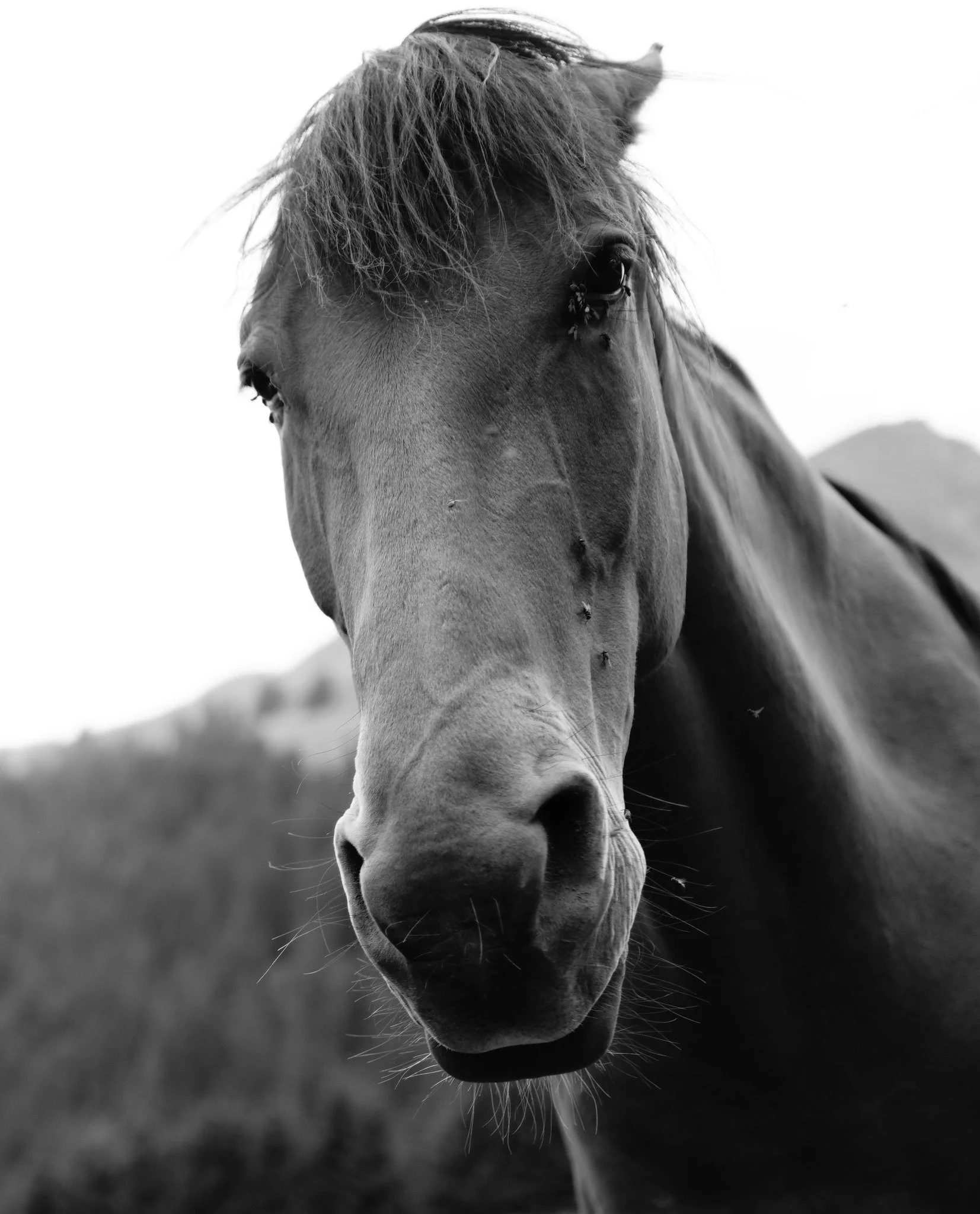 Tagesimpuls 26. April 2023