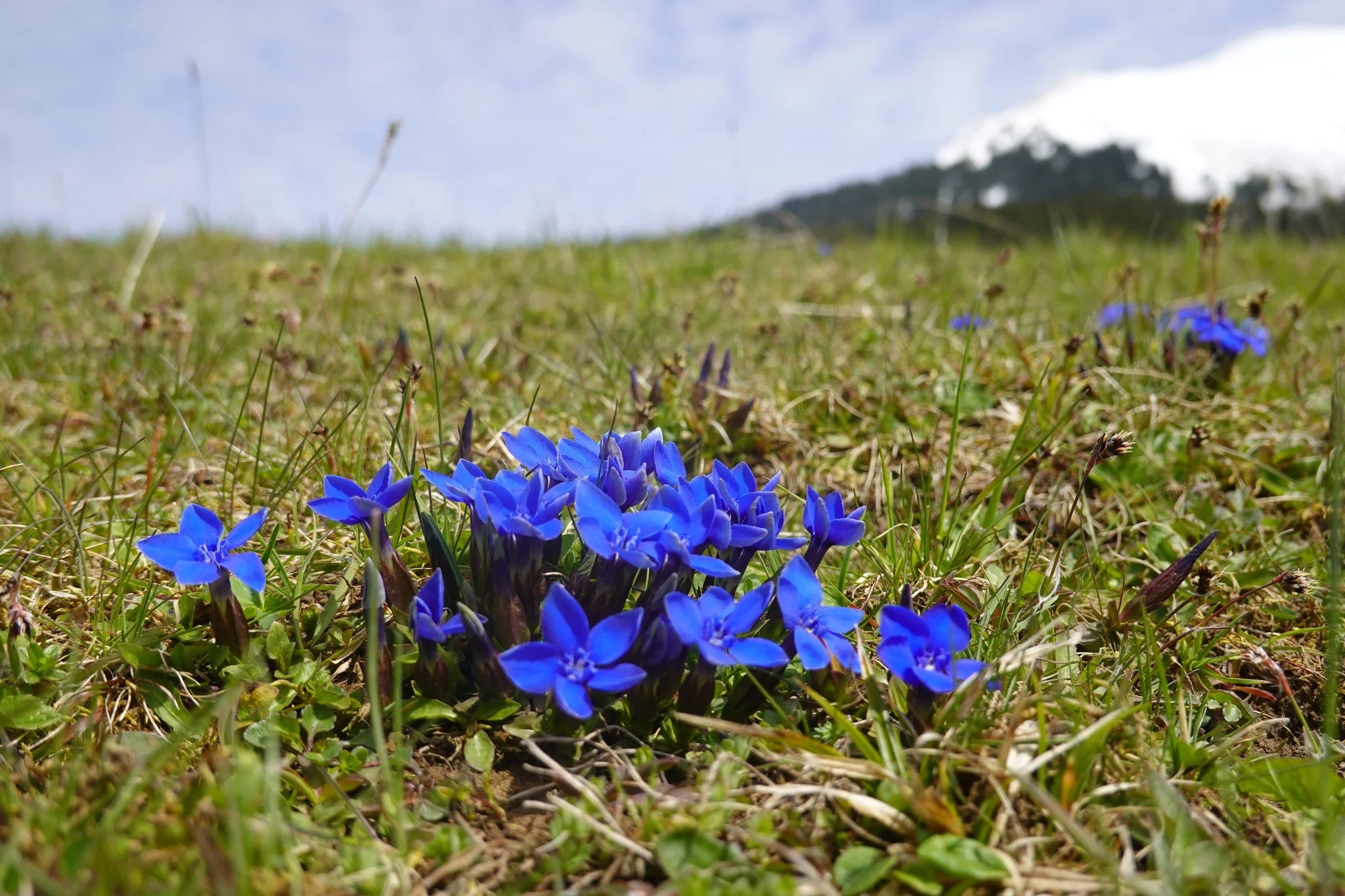 Tagesimpuls 28. April 2023