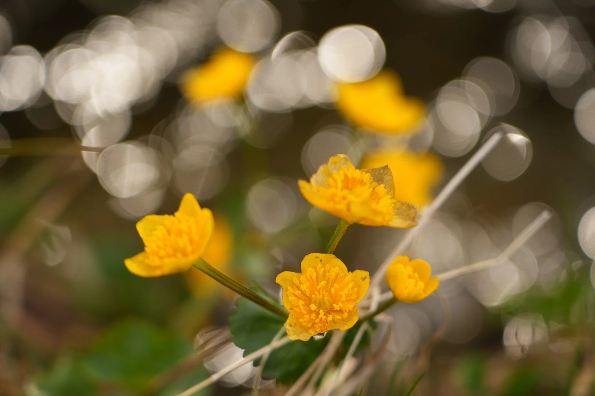 Tagesimpuls 29.4.2023