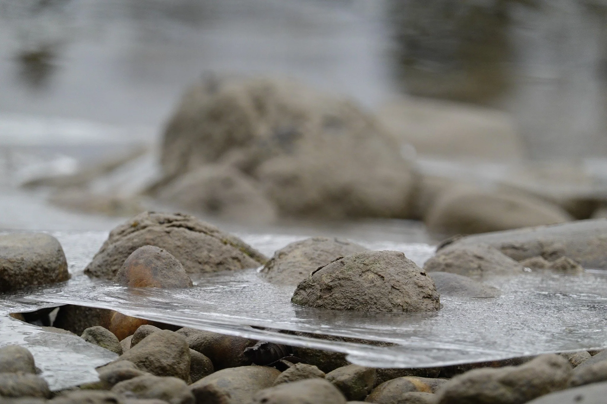 Tagesimpuls 30. April 2023