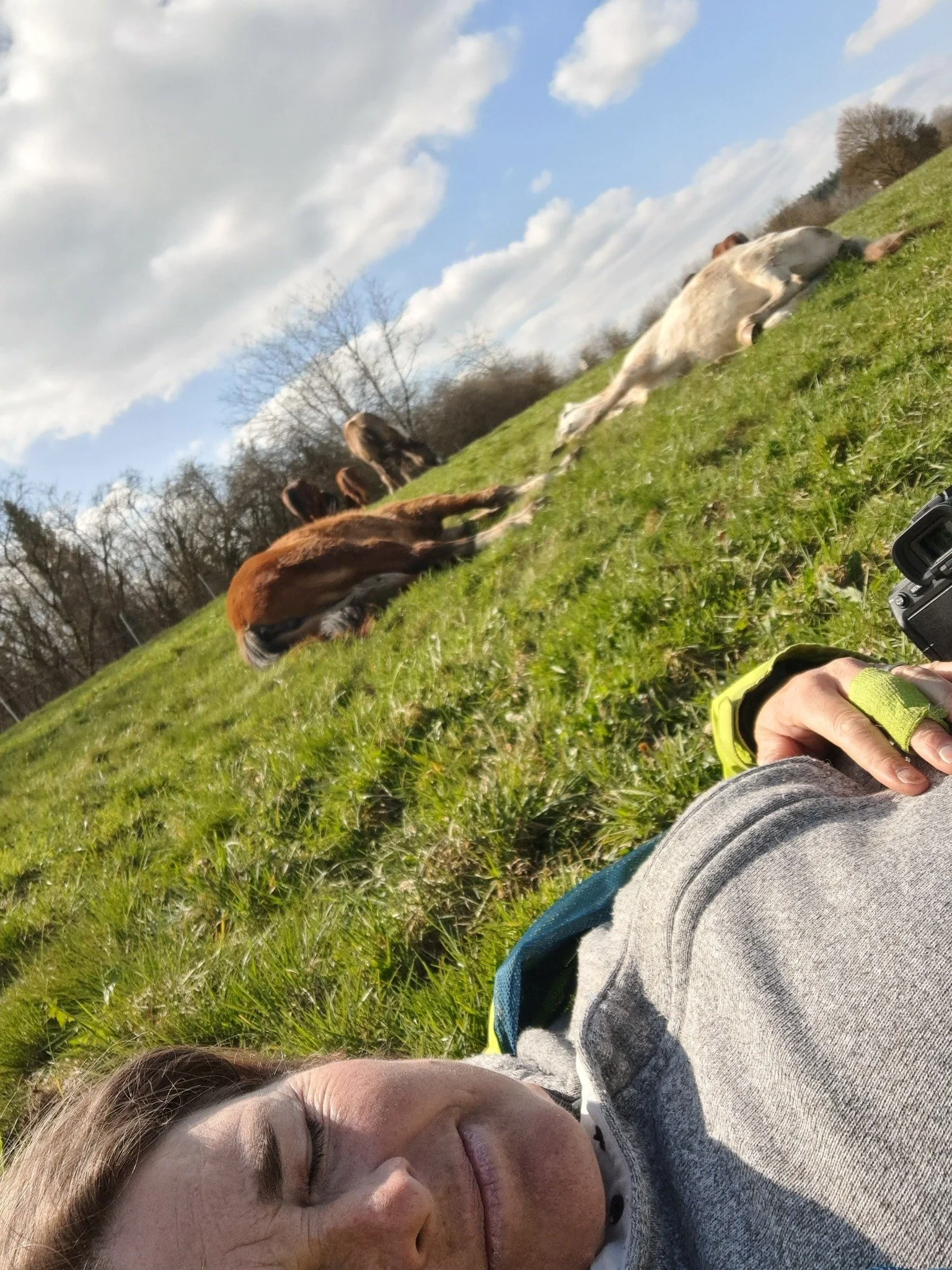 Tagesimpuls 1. Mai 2023