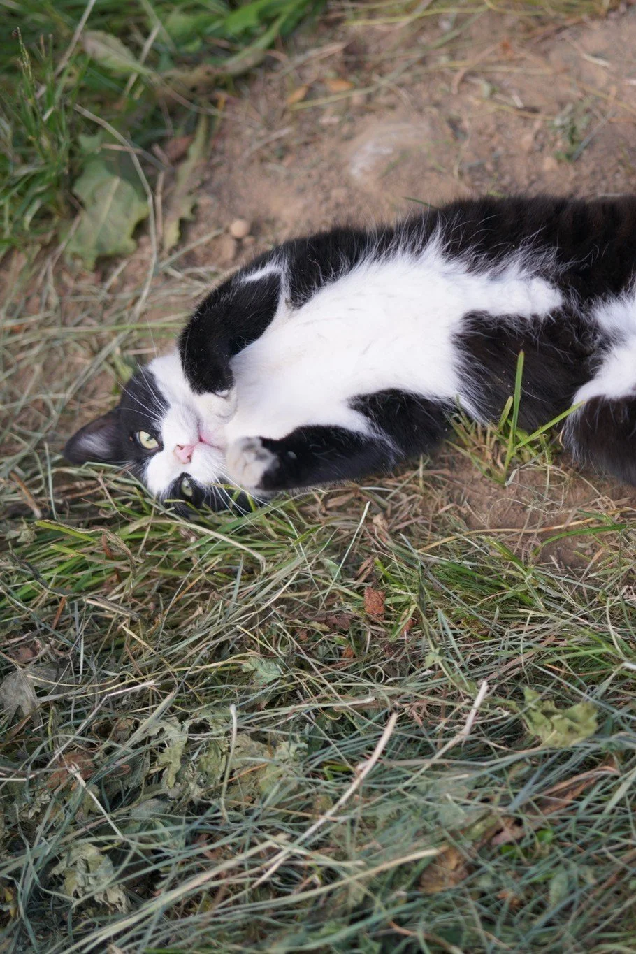 Tagesimpuls 2. Mai 2023