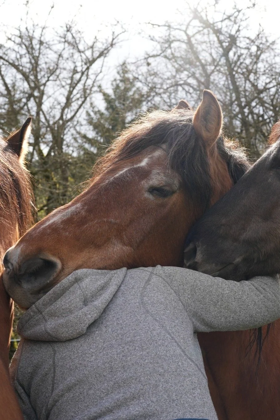 Tagesimpuls 27. April 2023