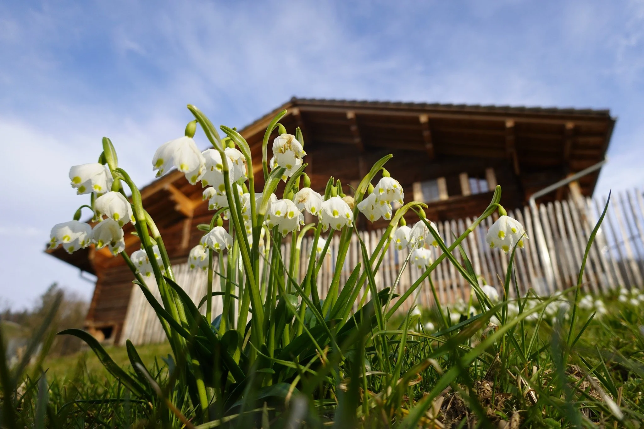 Tagesimpuls 3. Mai 2023