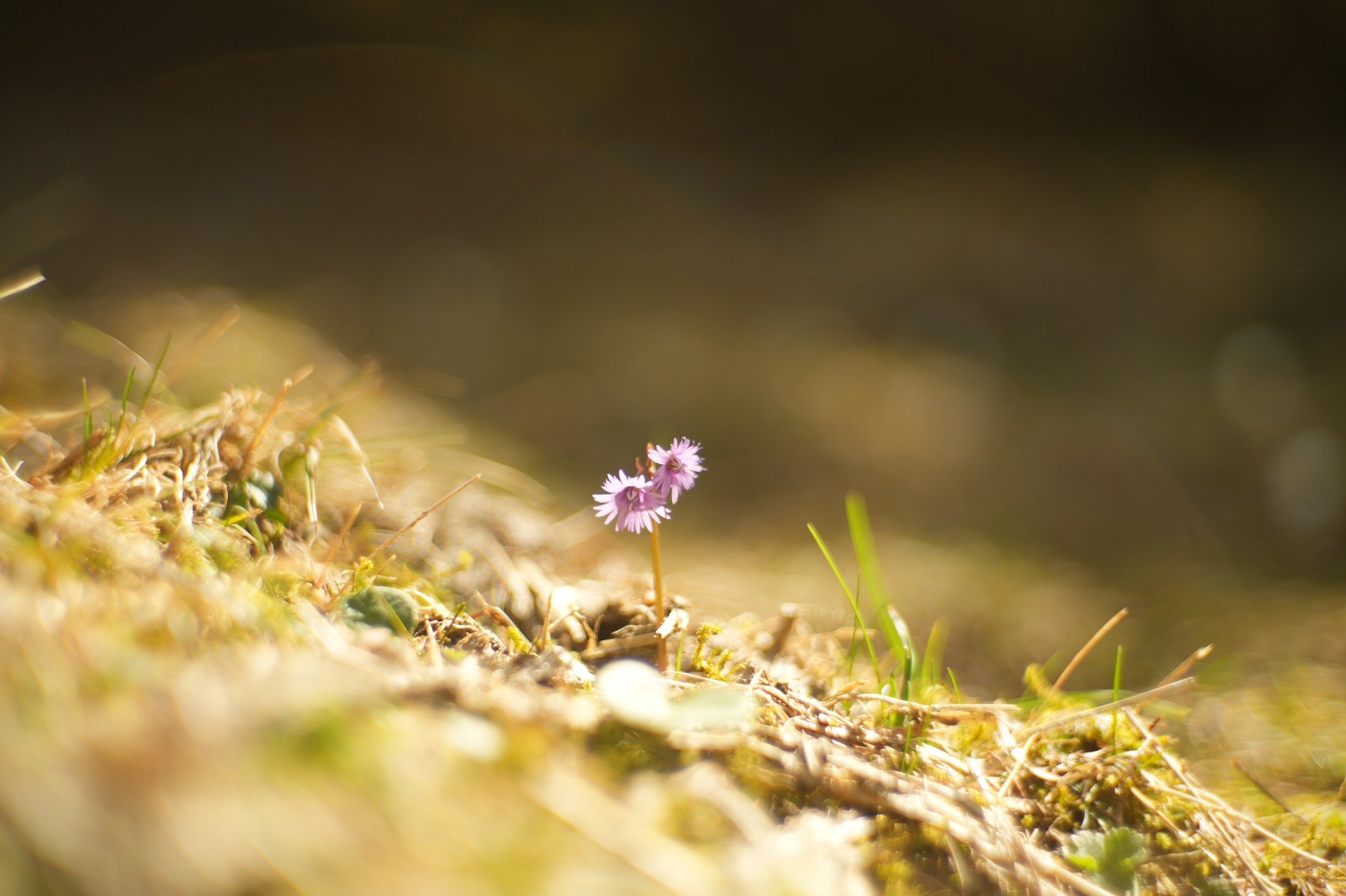 Tagesimpuls 4. Mai 2023