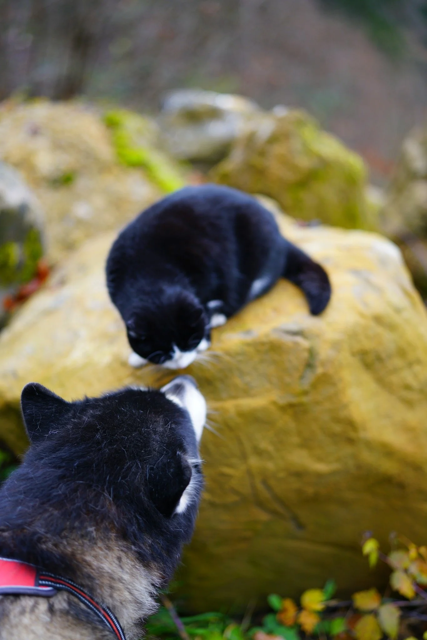 Tagesimpuls 9. Mai 2023