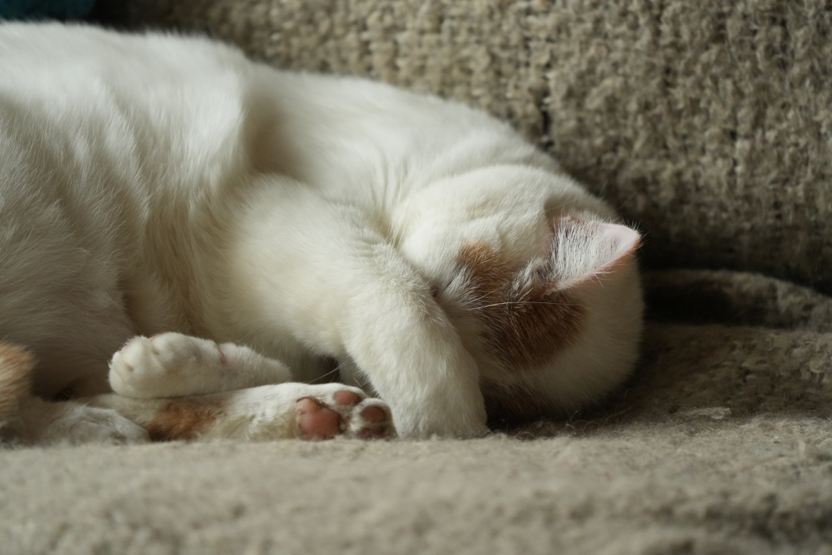 Tagesimpuls 10. Mai 2023