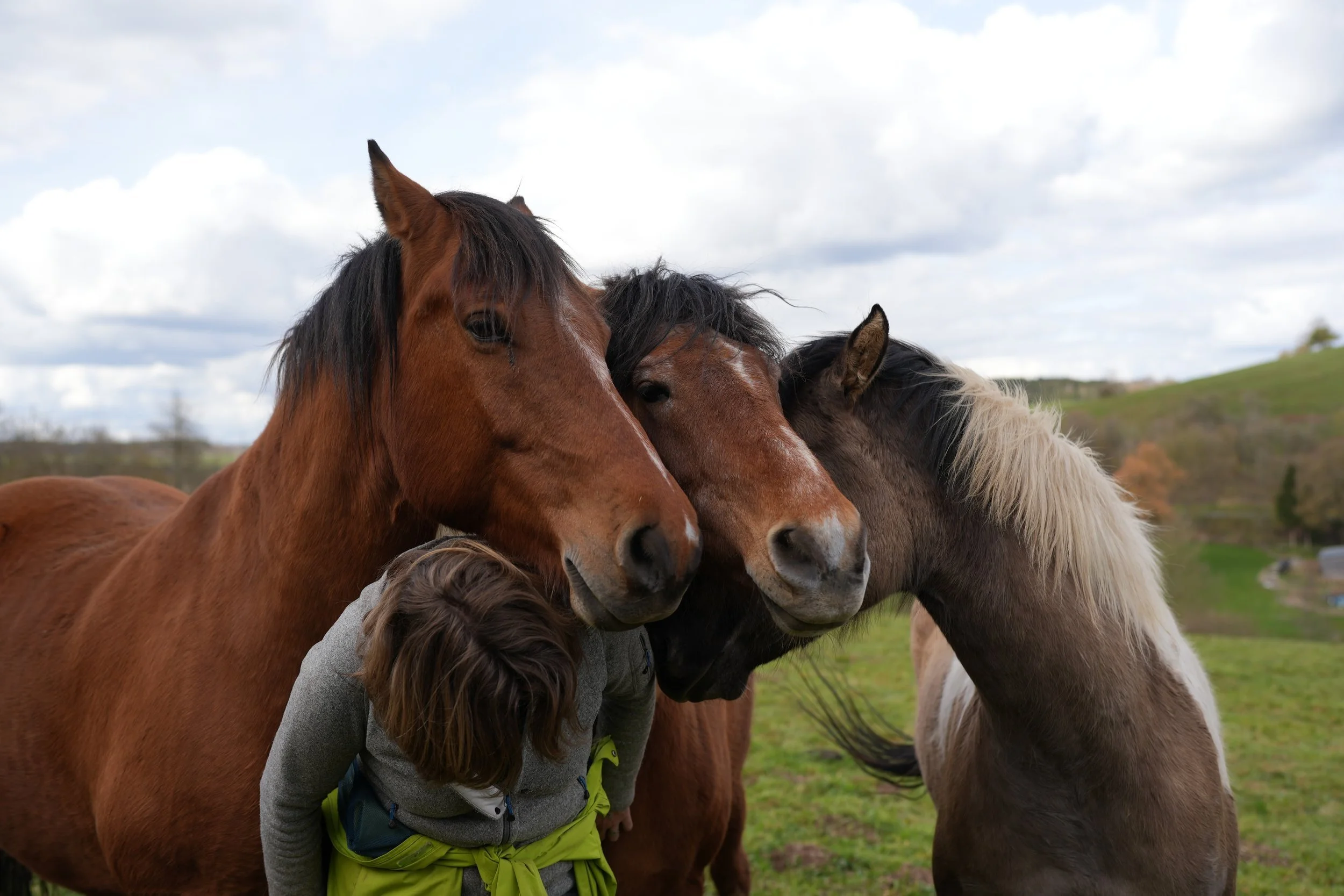 Tagesimpuls 11. Mai 2023