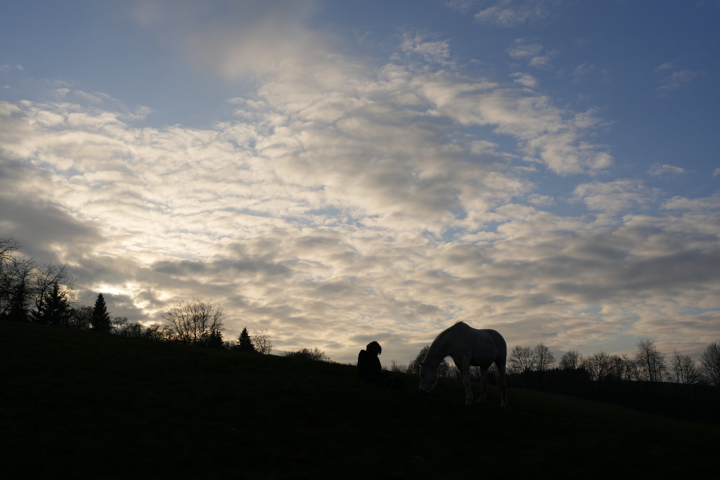 Tagesimpuls 12. Mai 2023