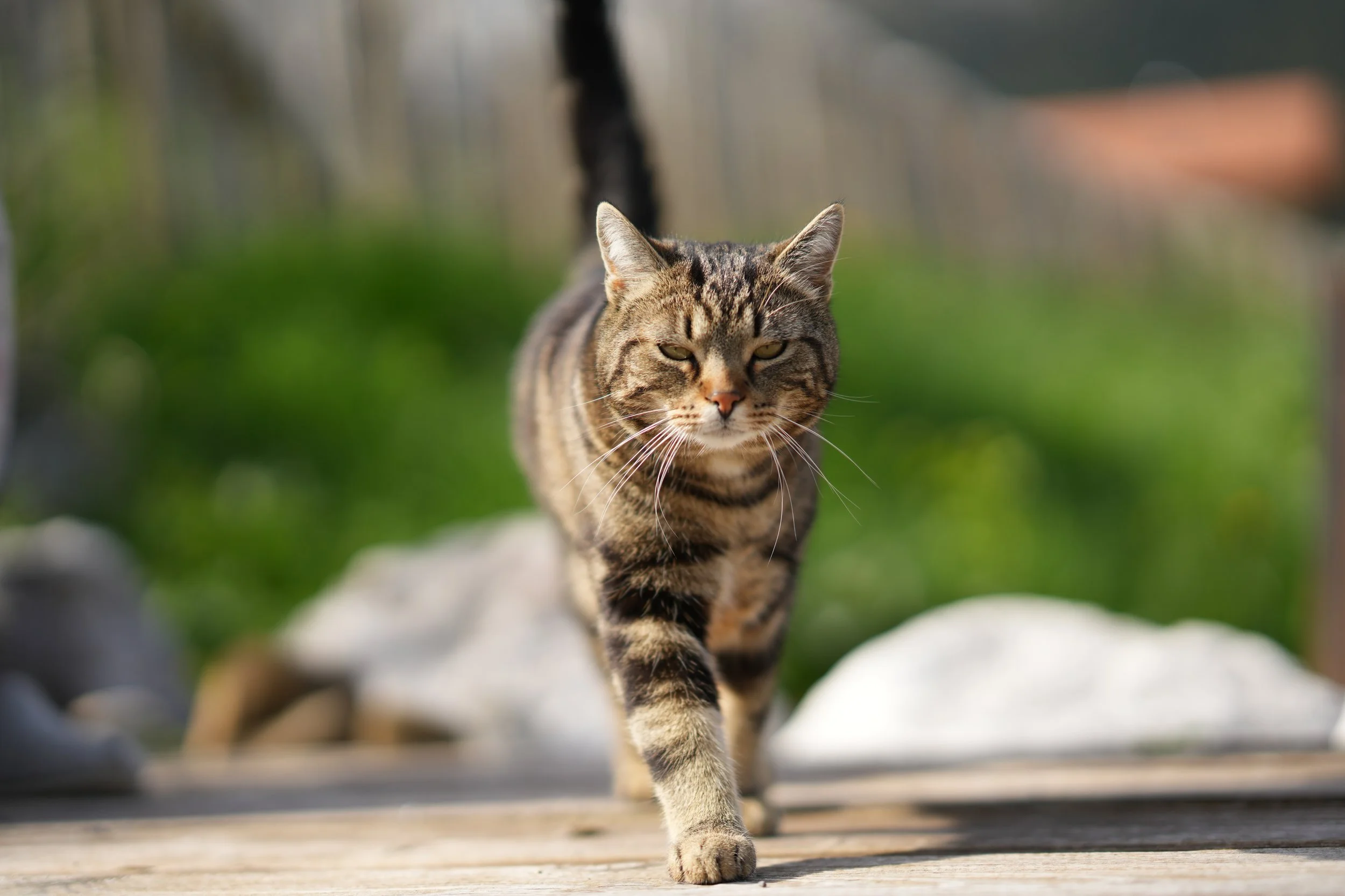  Tagesimpuls 14. Mai 2023