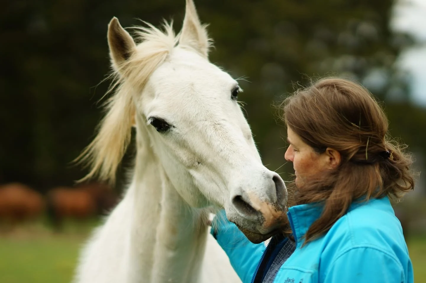  Tagesimpuls 15. Mai 2023