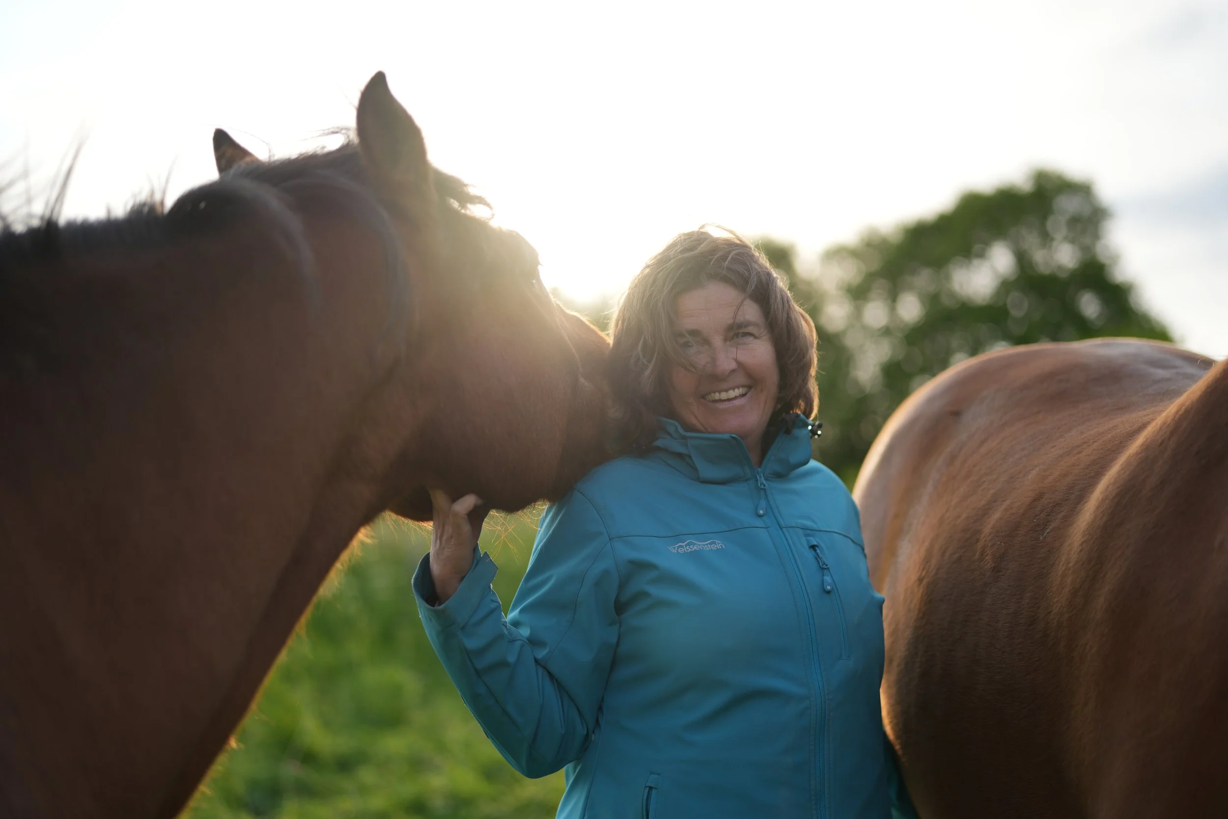 Tagesimpuls 24. Mai 2023