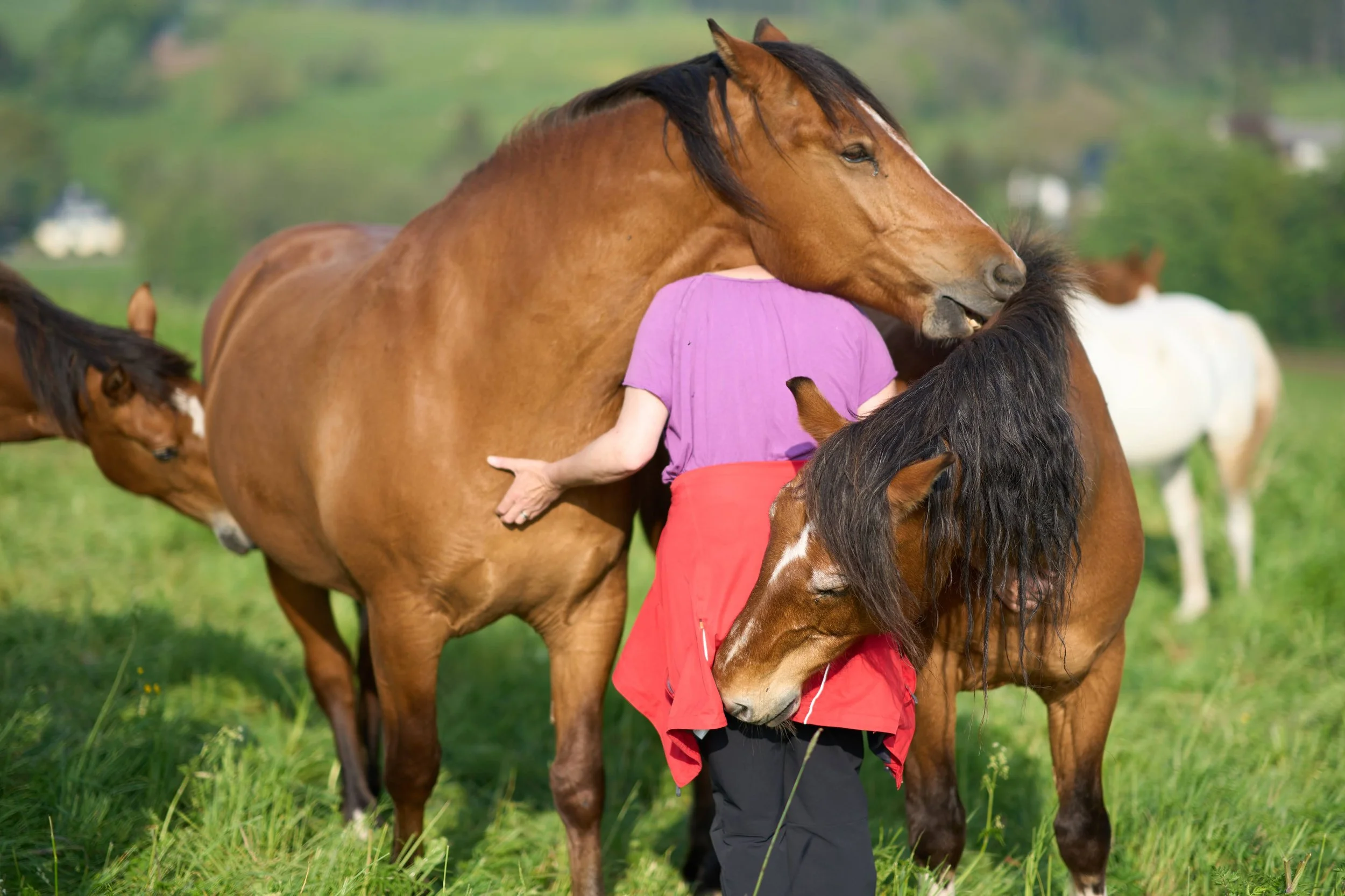  Tagesimpuls 23. Mai 2023