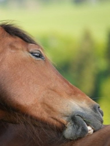 Tagesimpuls 22. Mai 2023