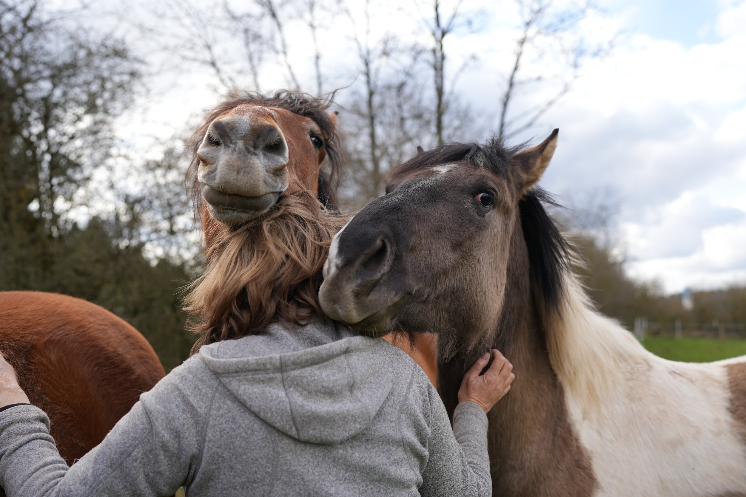 Tagesimpuls 17. Mai 2023