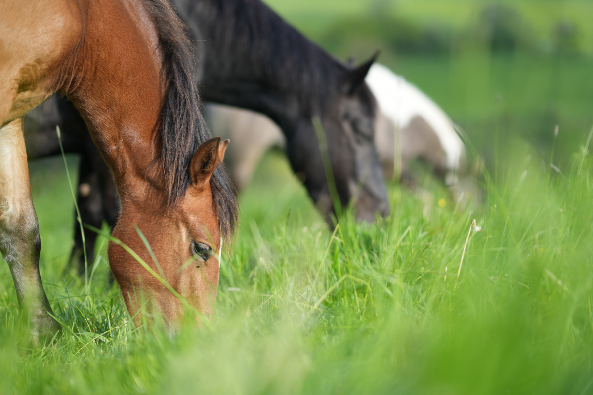  Tagesimpuls 25. Mai 2023