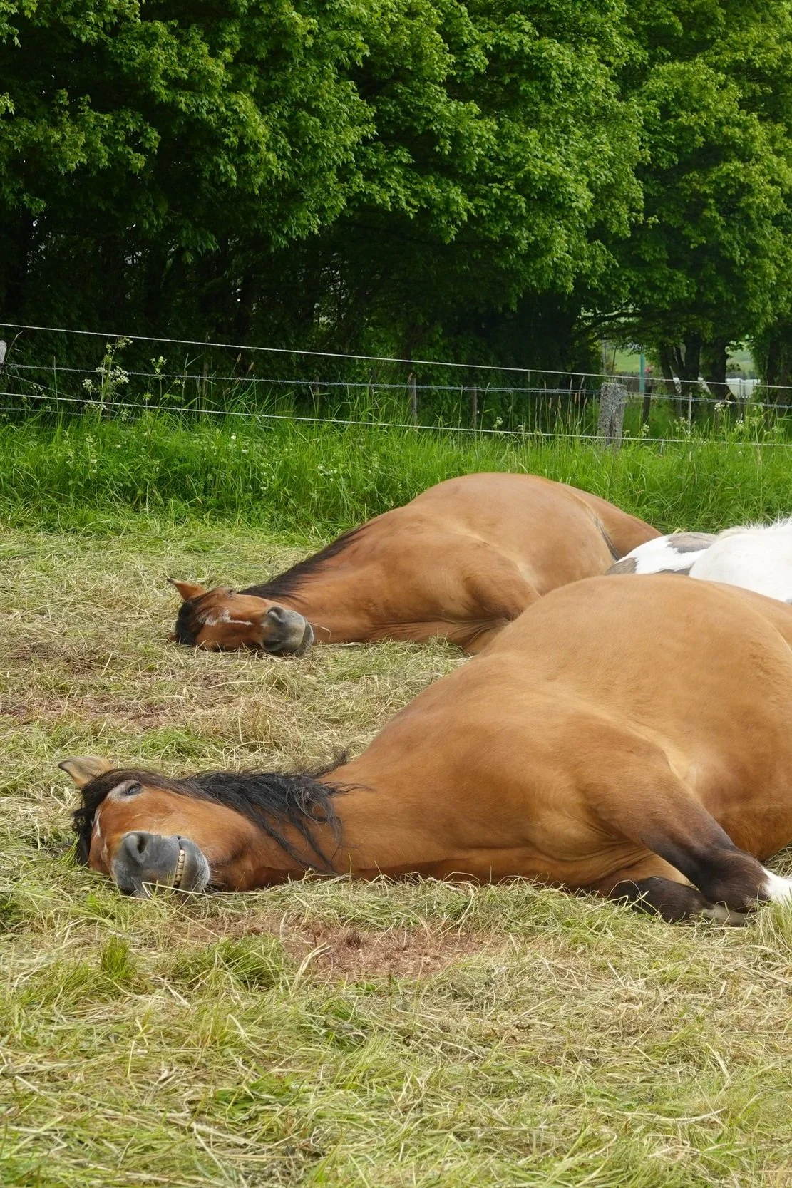  Tagesimpuls 26. Mai 2023