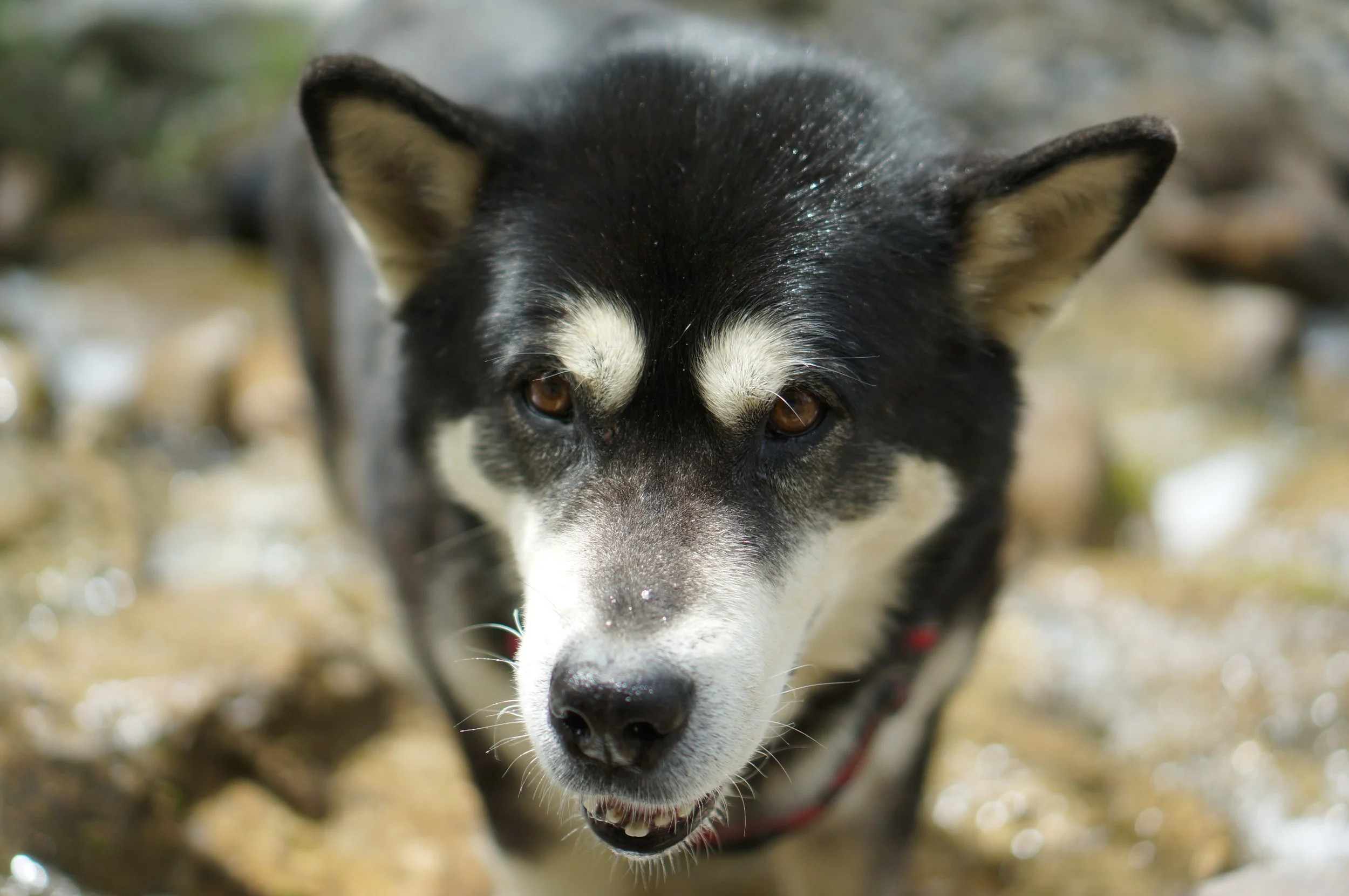  Tagesimpuls 27. Mai 2023