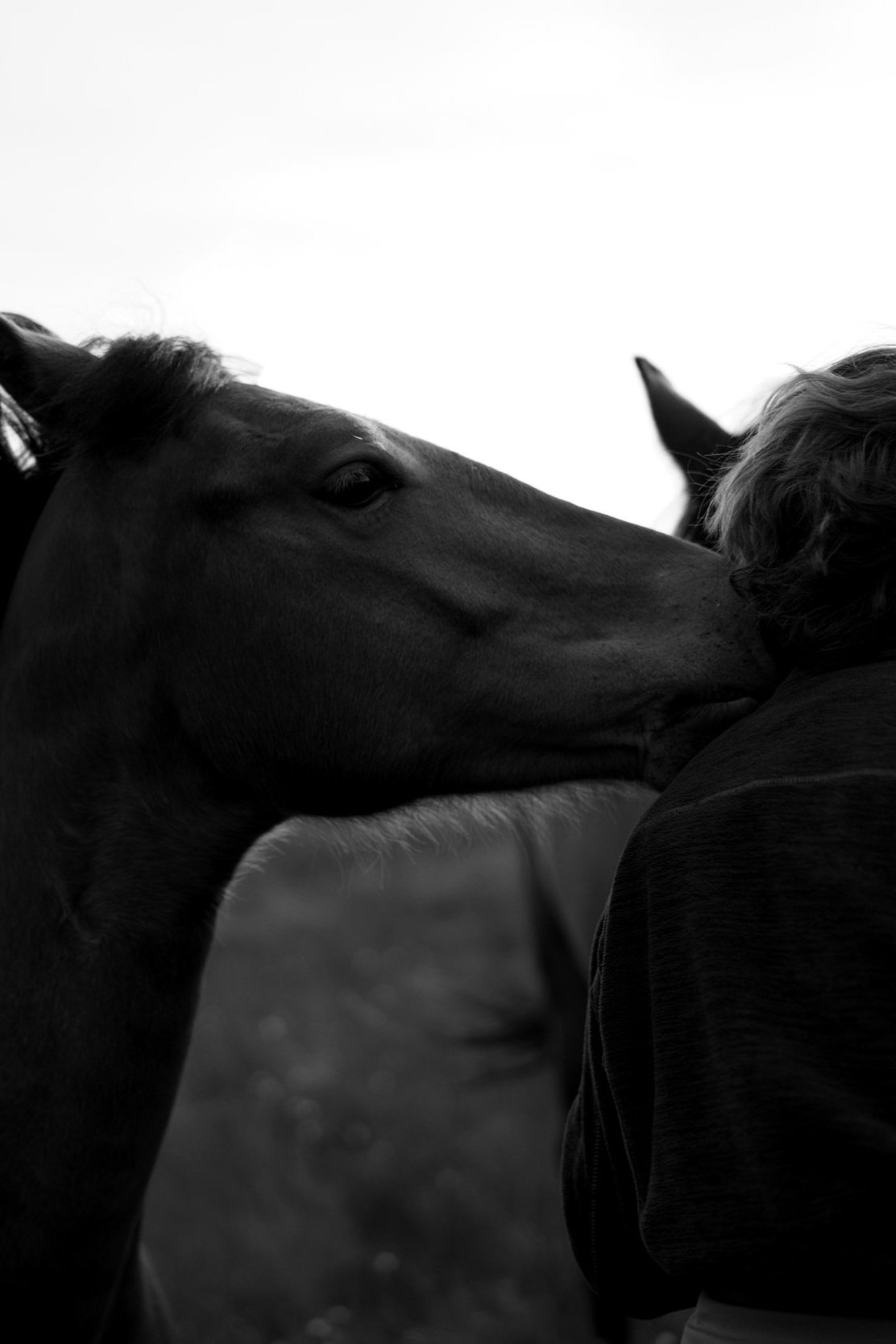 Tagesimpuls 1. Juni 2023