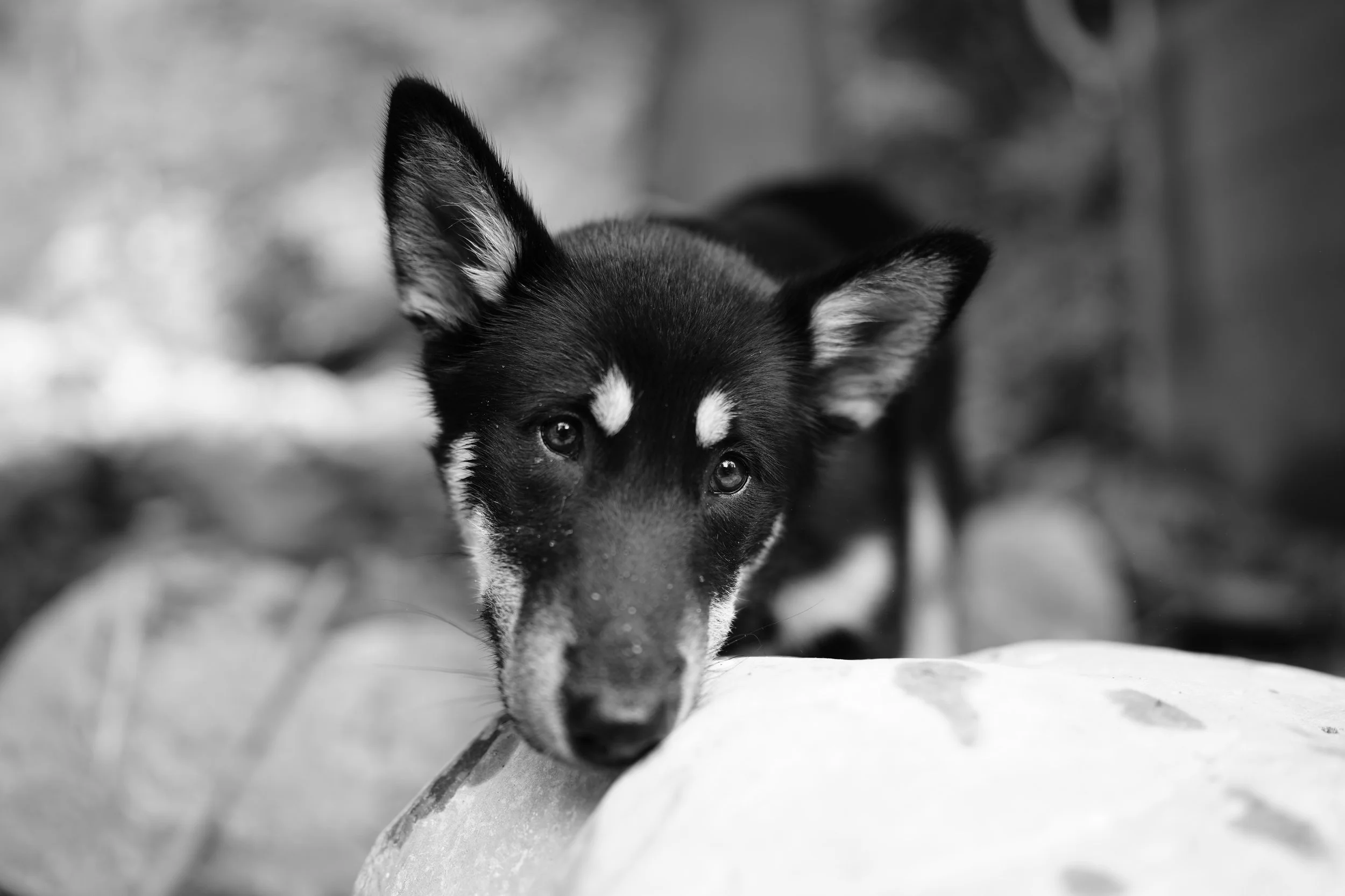  Wenn auf einmal alles anders ist….