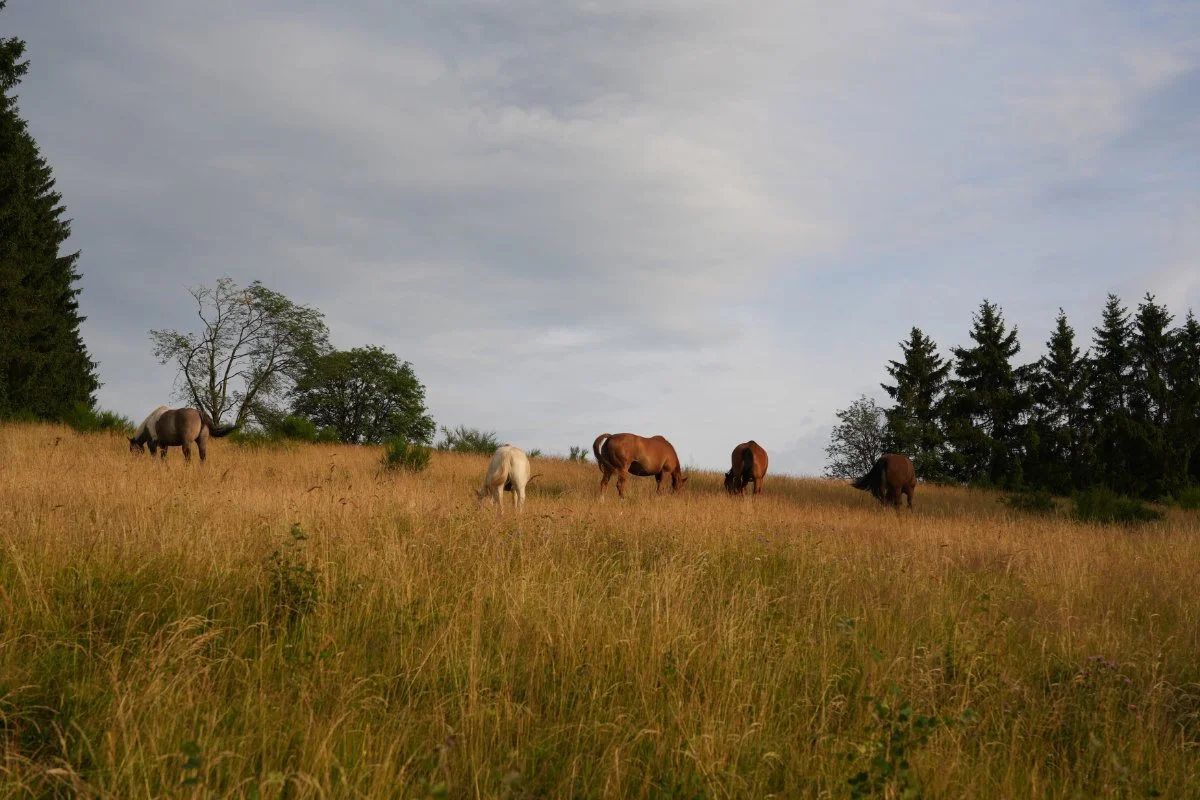 Hingabe statt Rituale