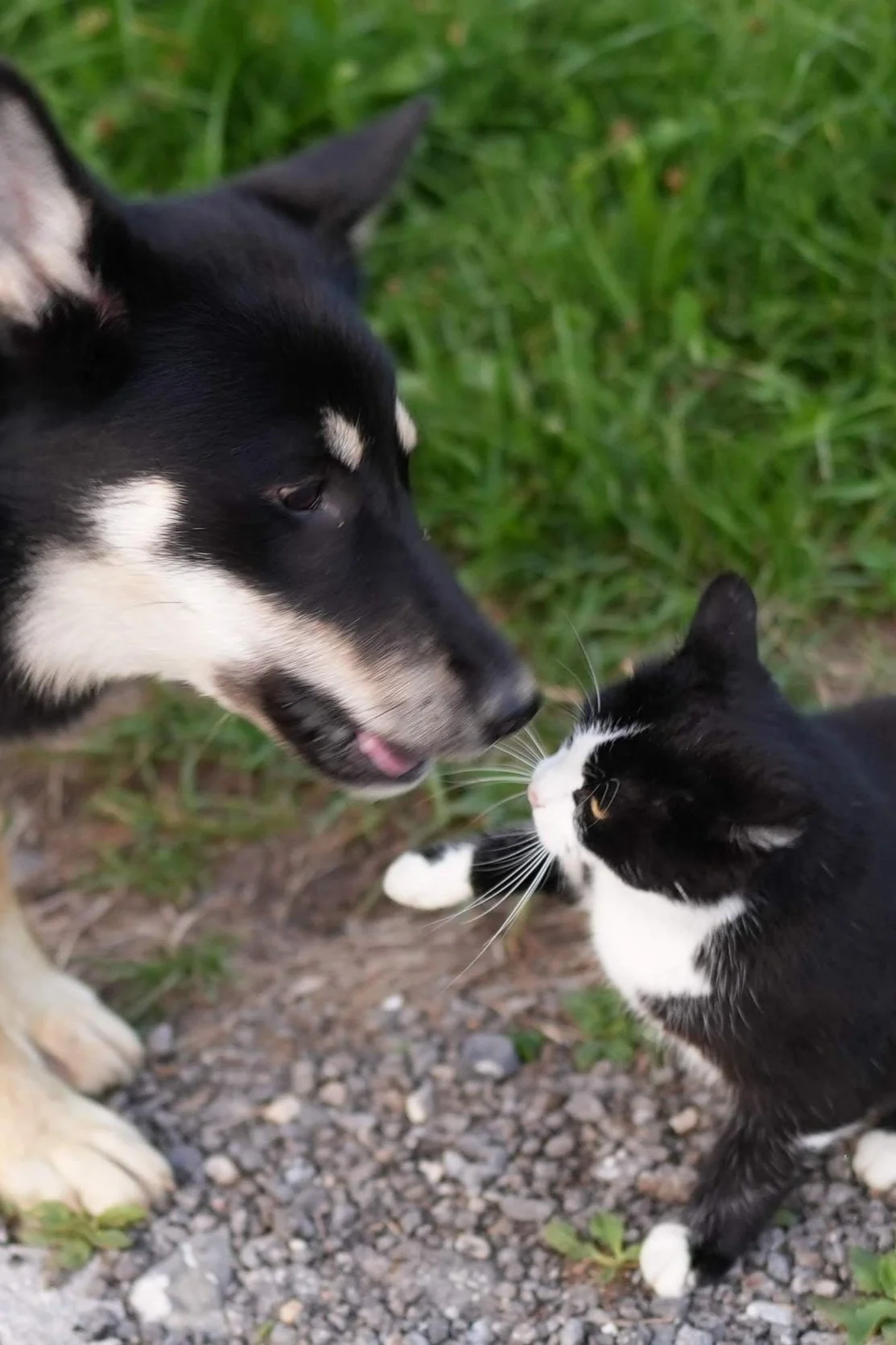 Lieben wie ist, statt wie ich gerne hätte 