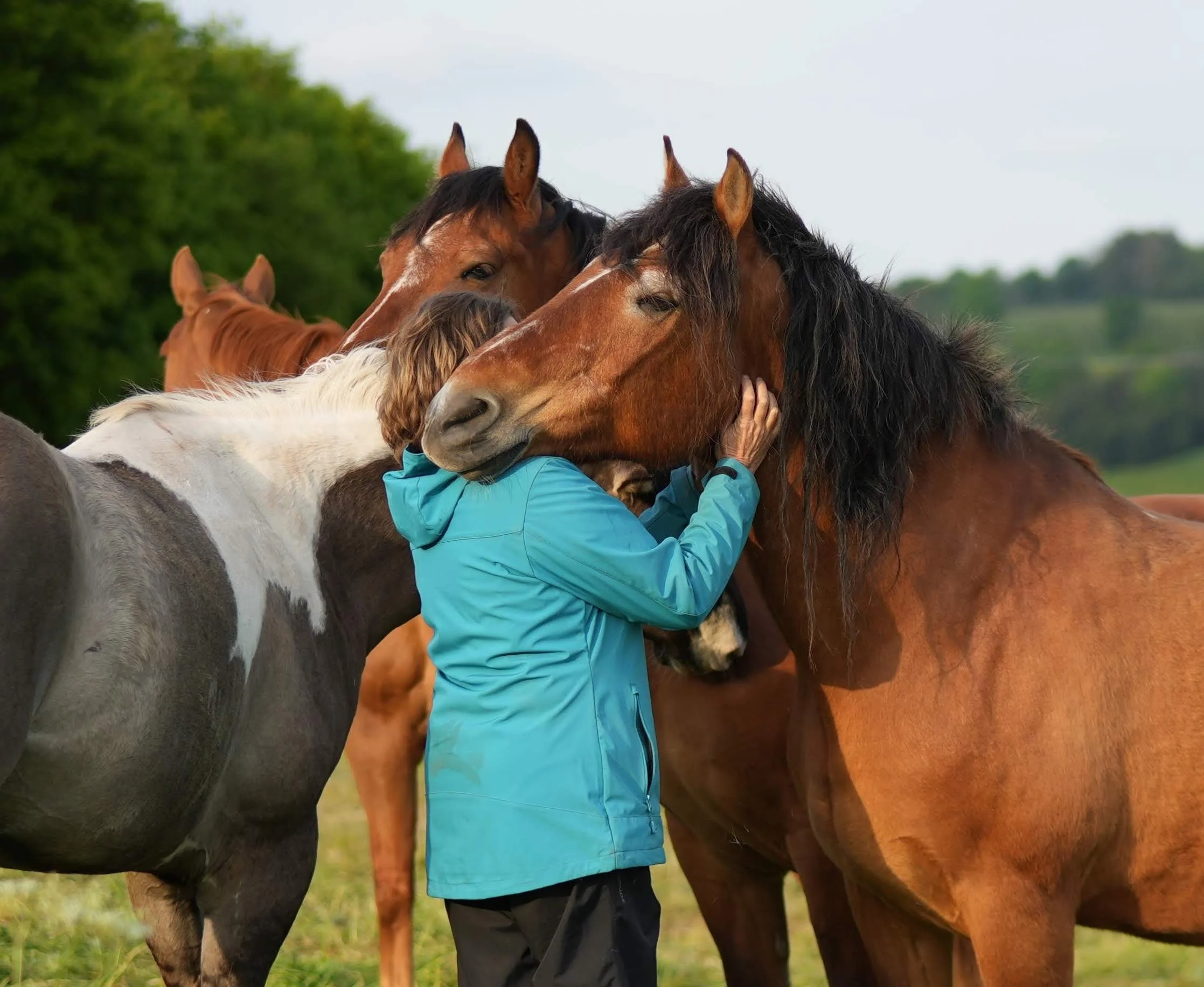 Vertrauen statt Erziehung - Liebe statt Dominanz