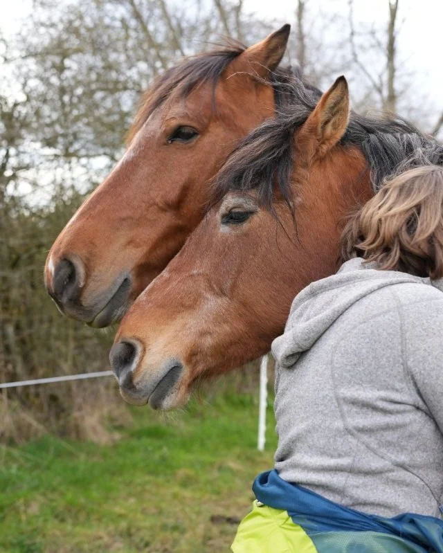 Möglichkeiten erkennen und annehmen