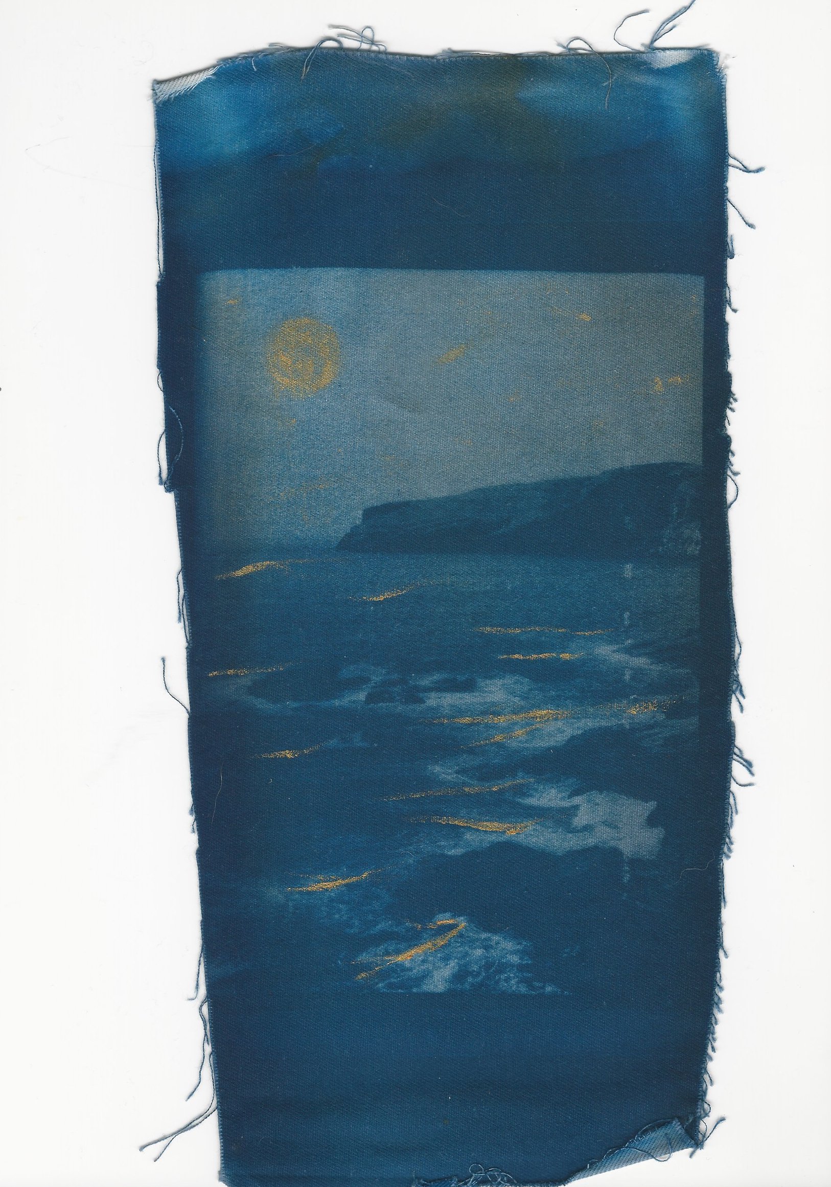 cyanotypes.jpg