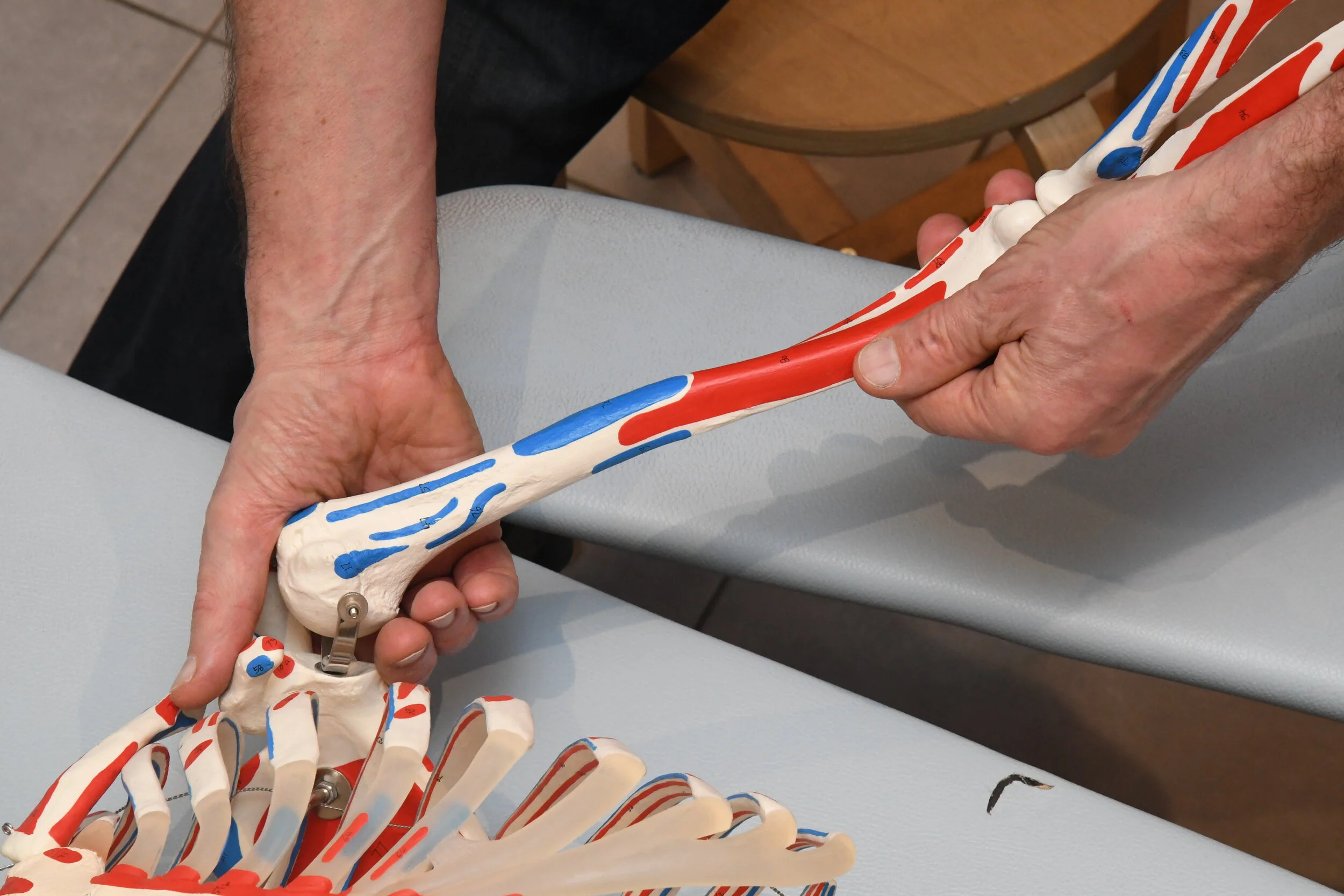 Module 3 : L'épaule douloureuse (1er partie)