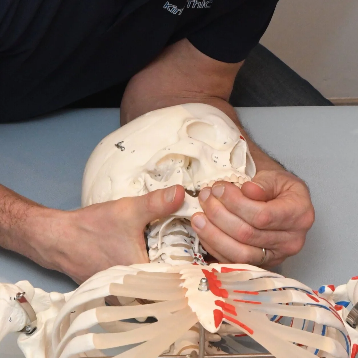 Module 2 (niveau élémentaire) : La colonne cervicale