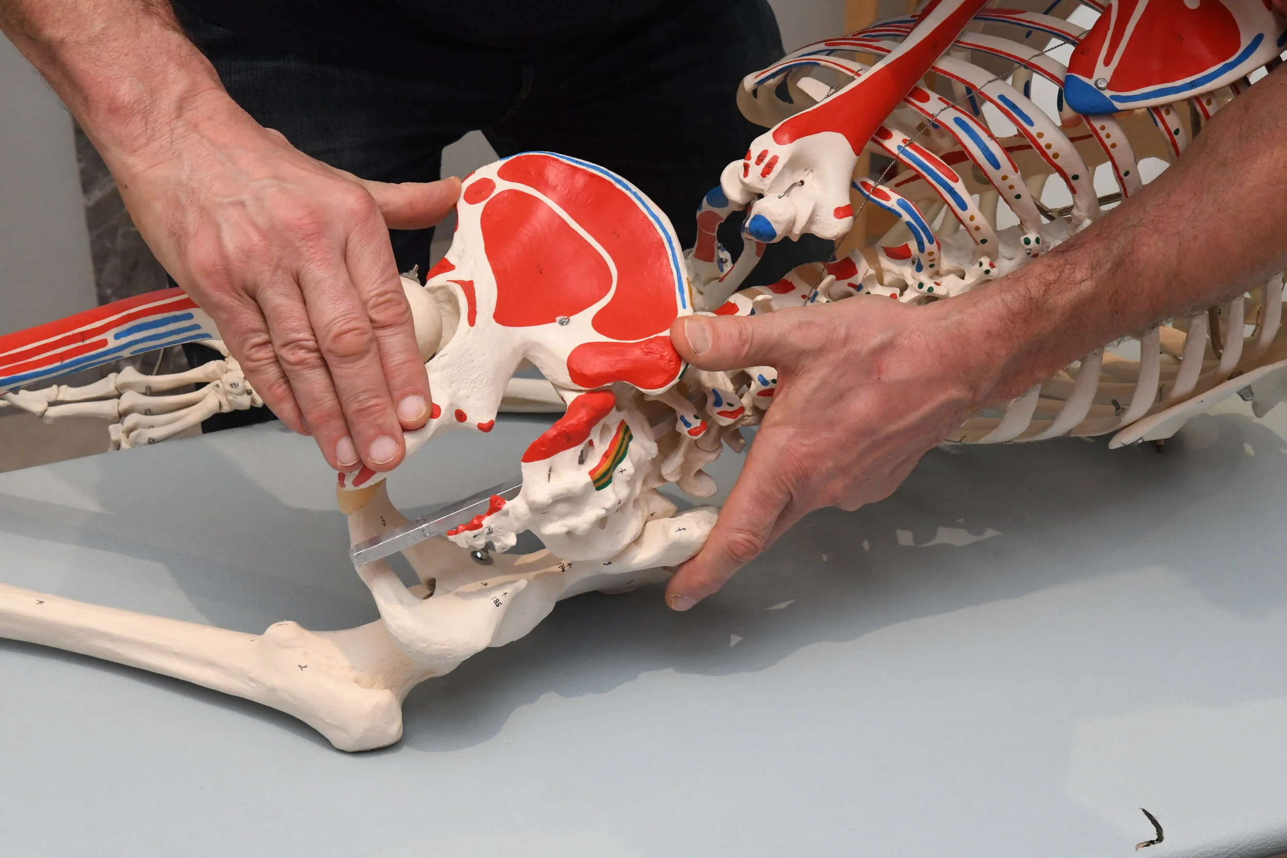 Module 1 (niveau élémentaire) : Région lombo-sacrée (complet)