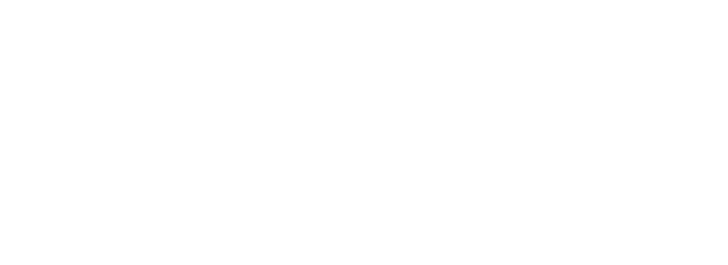 Talent Beyond Boundaries