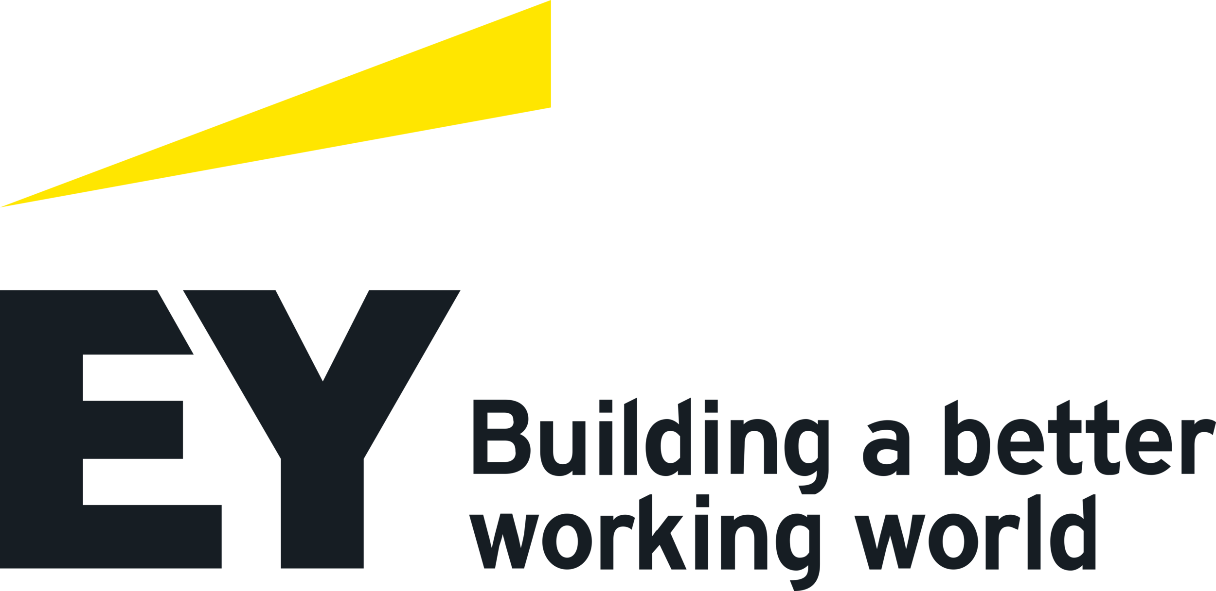 The logo of EY (Ernst & Young) with a yellow triangular shape and the text 'EY Building a better working world'.