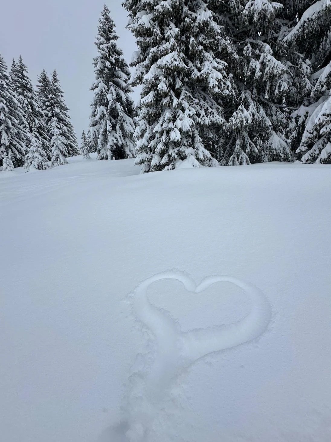 Thank you, thank you