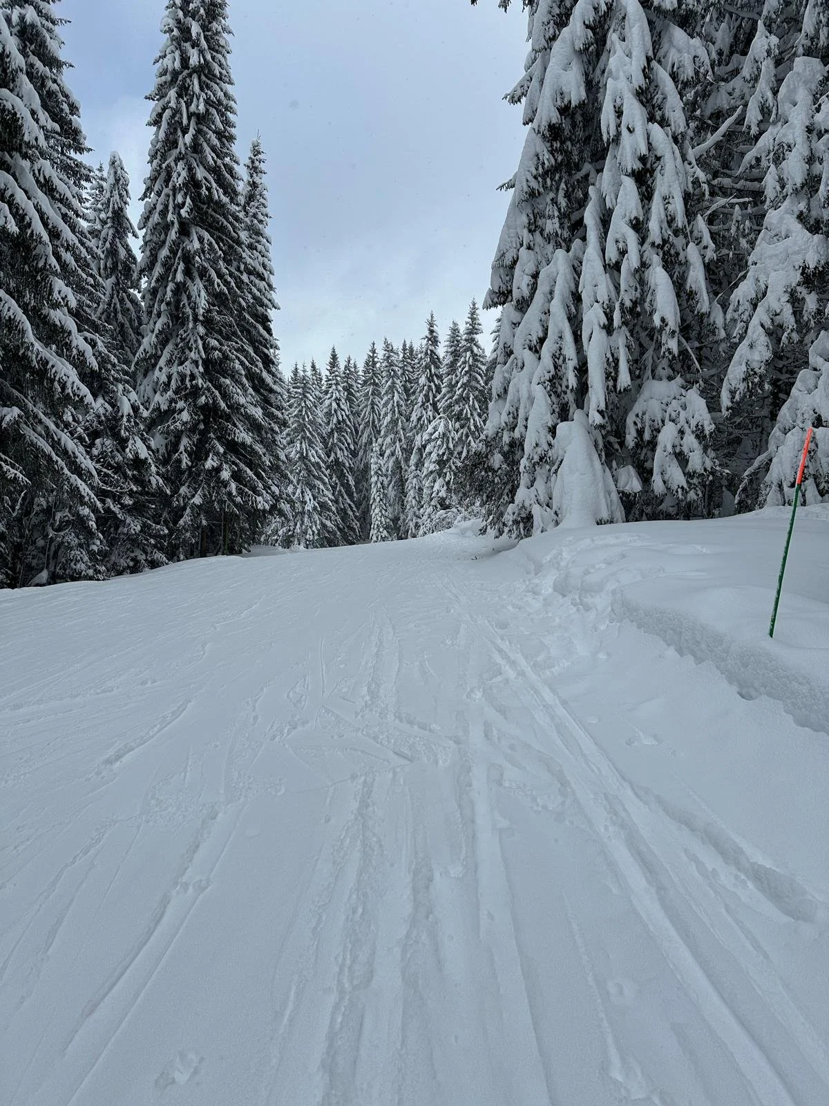 beautiful snow conditions in Les Gets