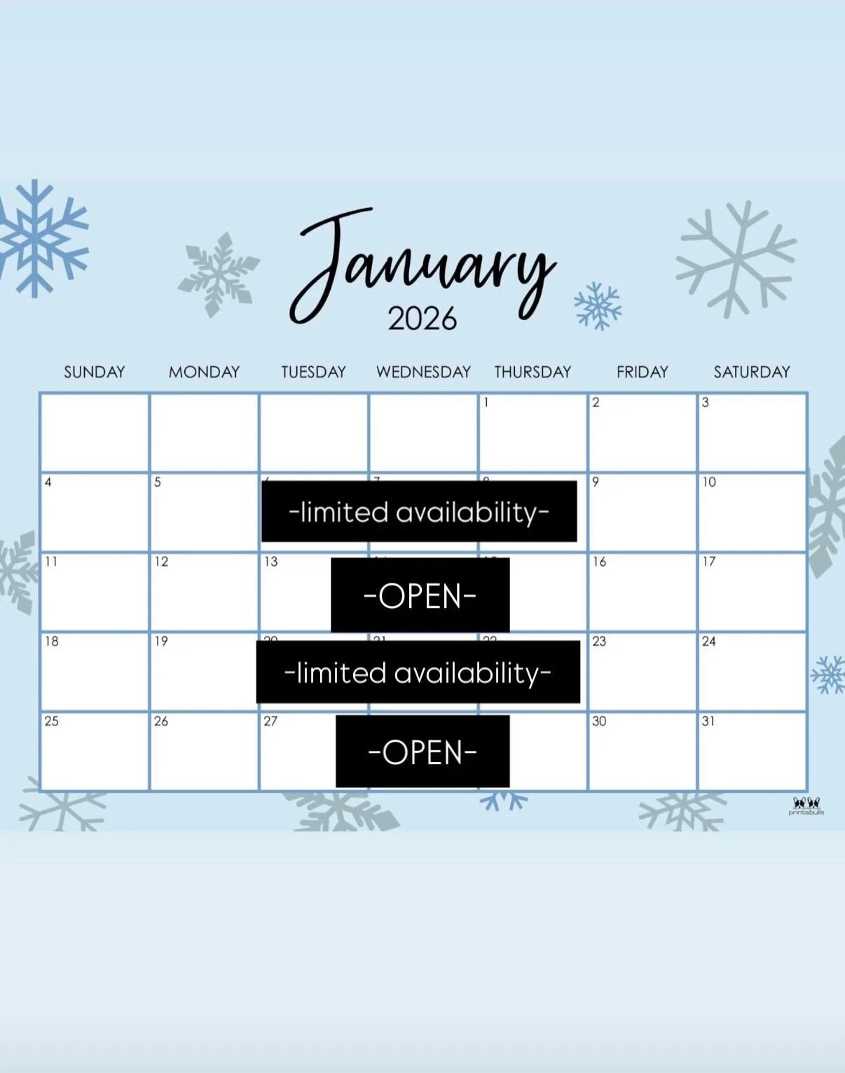 I hope you all had an AMAZING Christmas! Here is my availability for January and February. Please check out my pricing info in my highlights or on my website. I will be more strict with my pricing in 2026. All prices shown are starting prices. 
I wil
