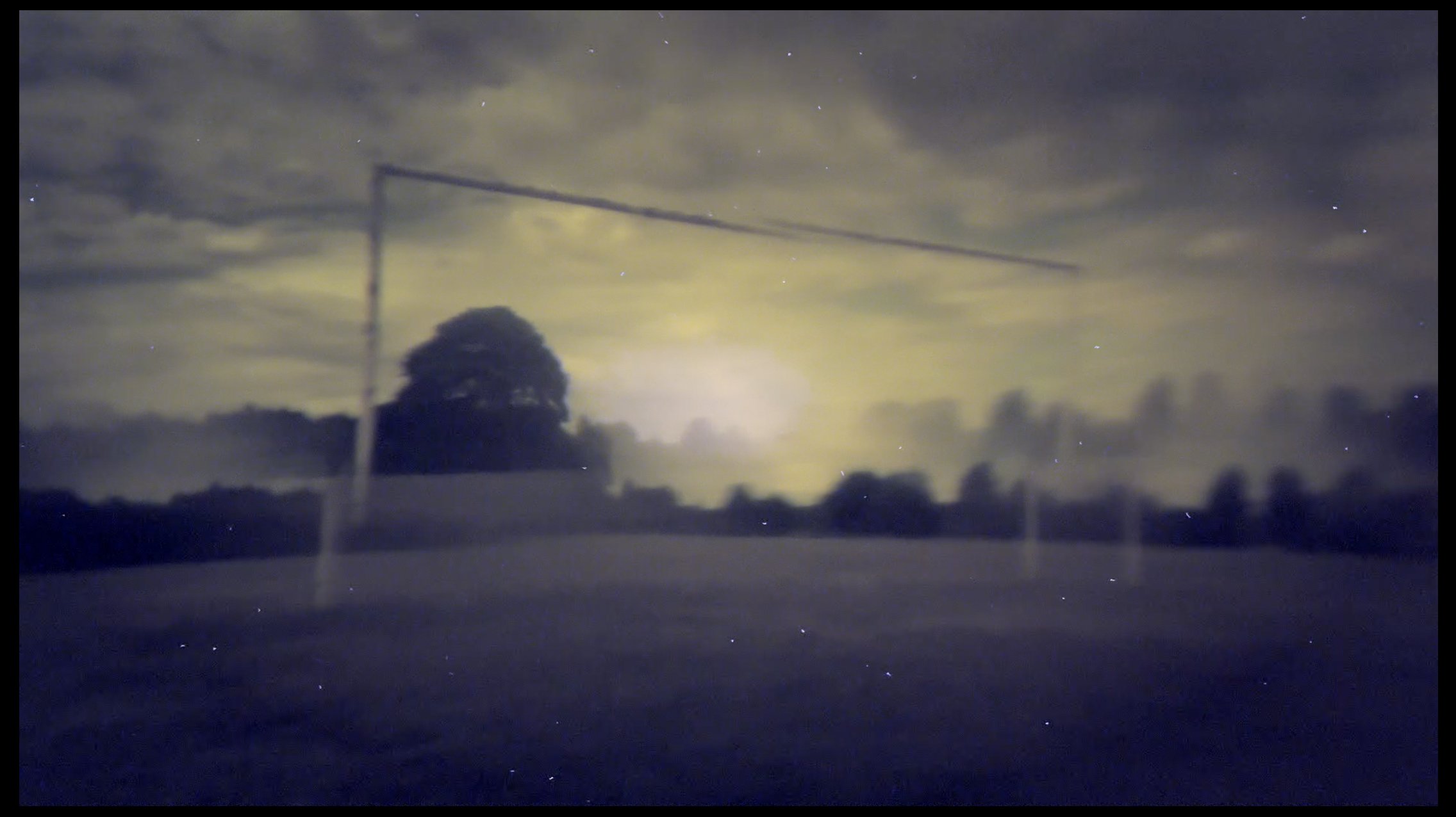 pandemic loops image 2.jpg