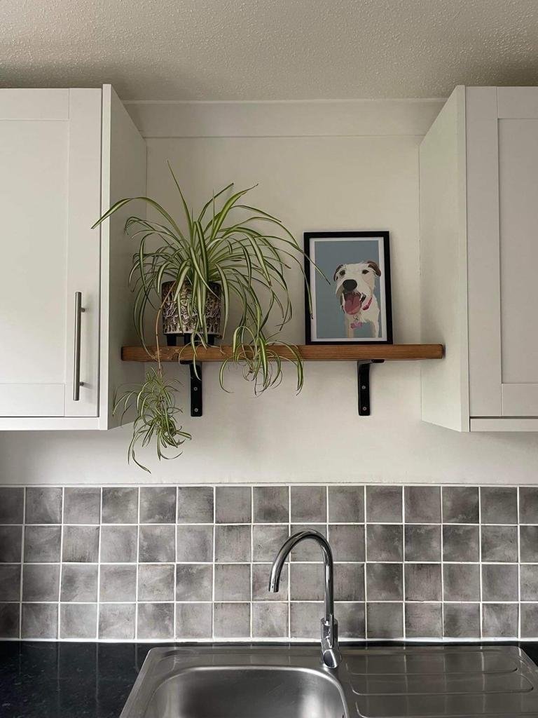 browning wax scaffold shelf